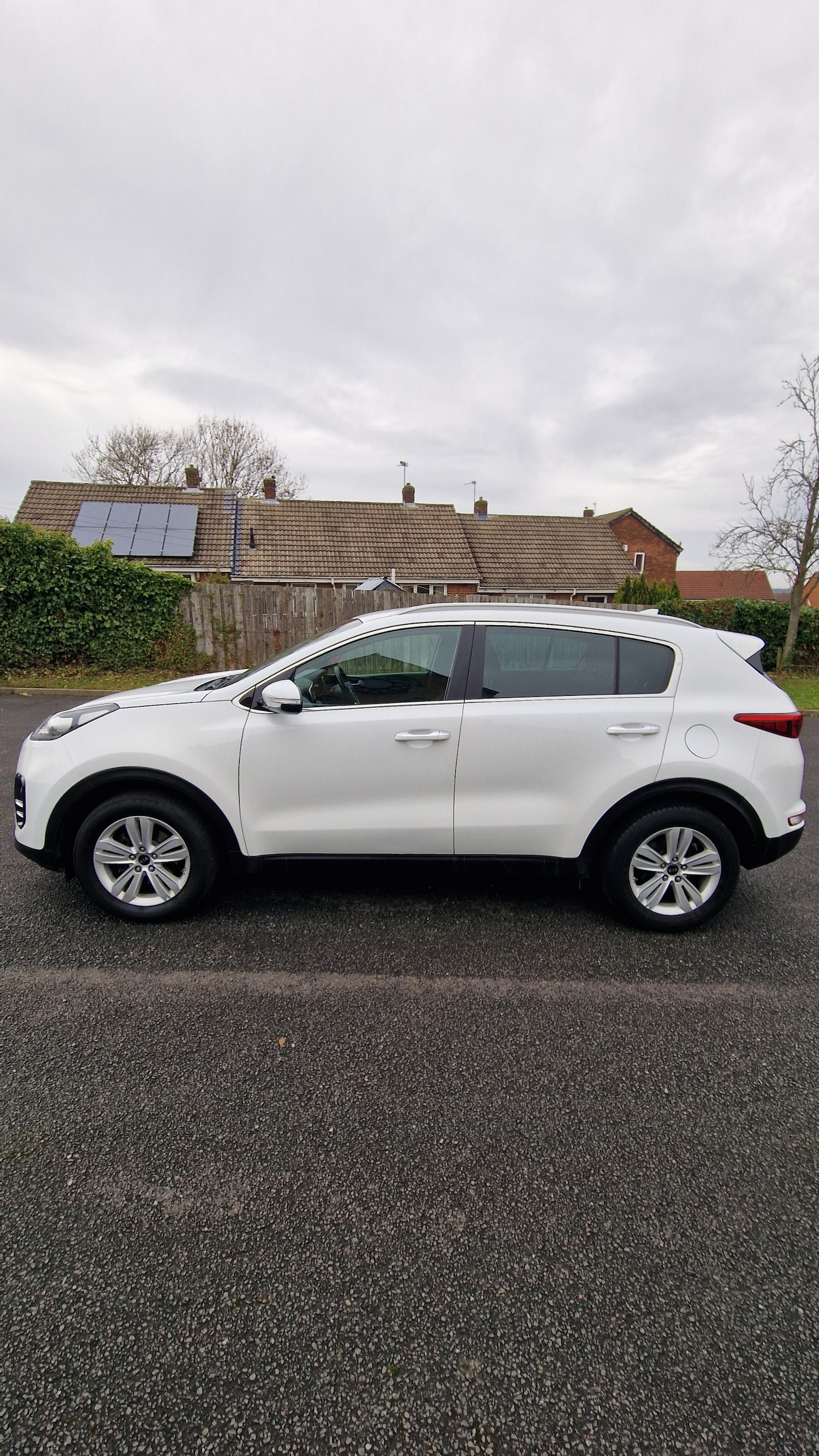 Used Kia Sportage 2016 for sale - 77201071: Photo 4