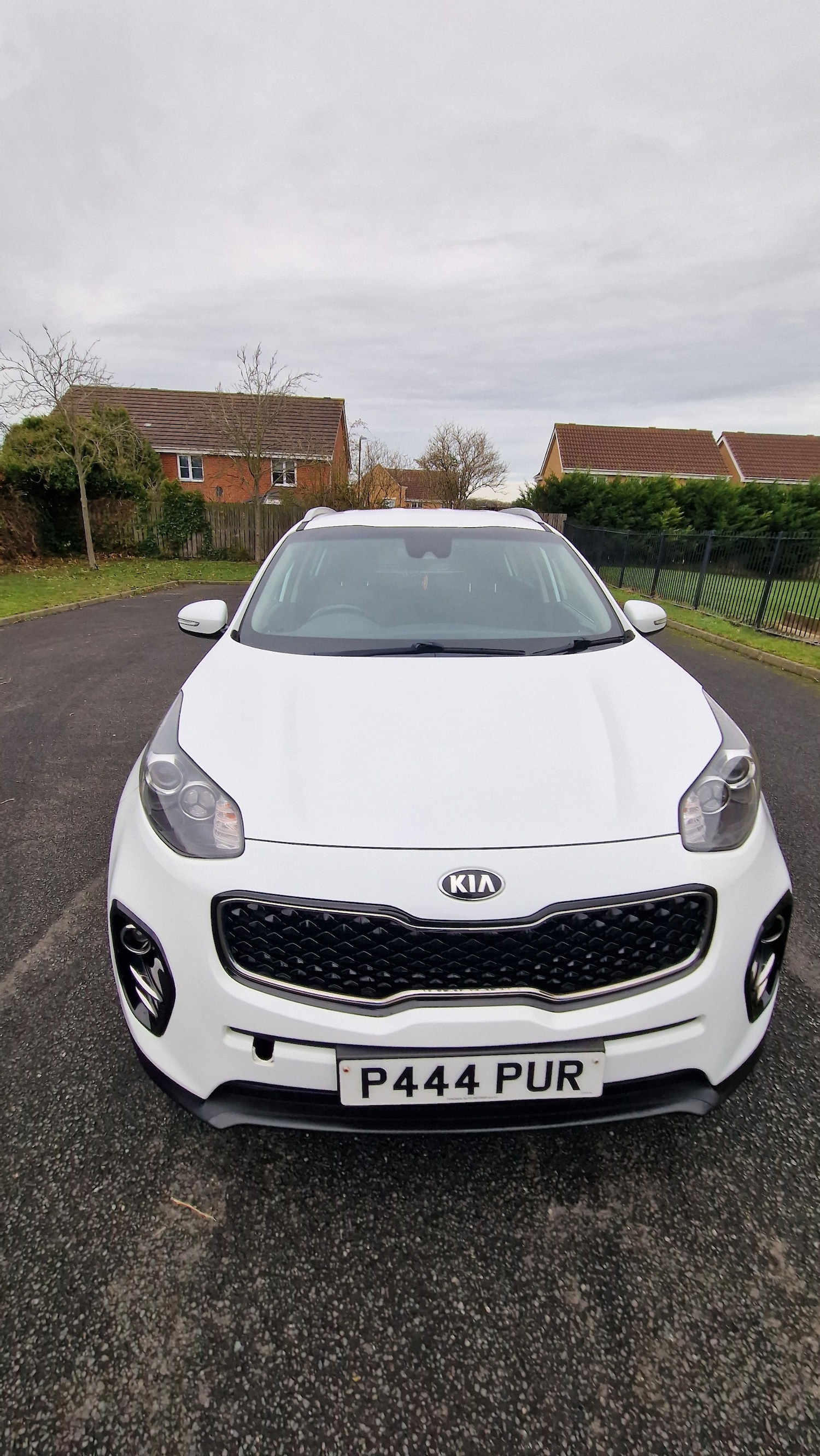 Used Kia Sportage 2016 for sale - 77201071: Photo 7