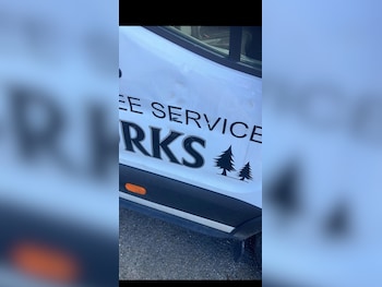 Used Ford Transit 2020 for sale - 77890079: Photo