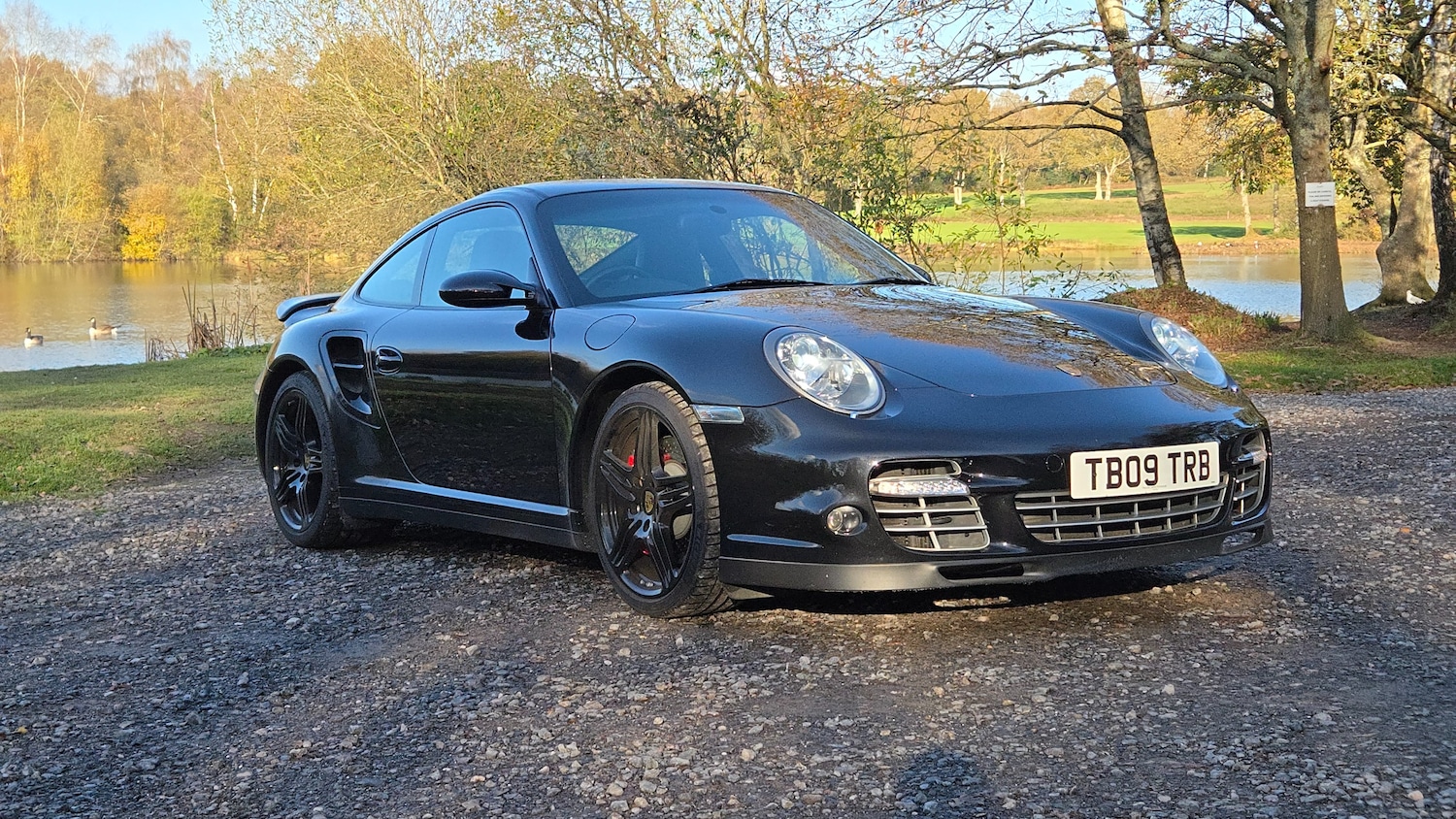 Used Porsche 911 2009 for sale - 76697833: Photo 1