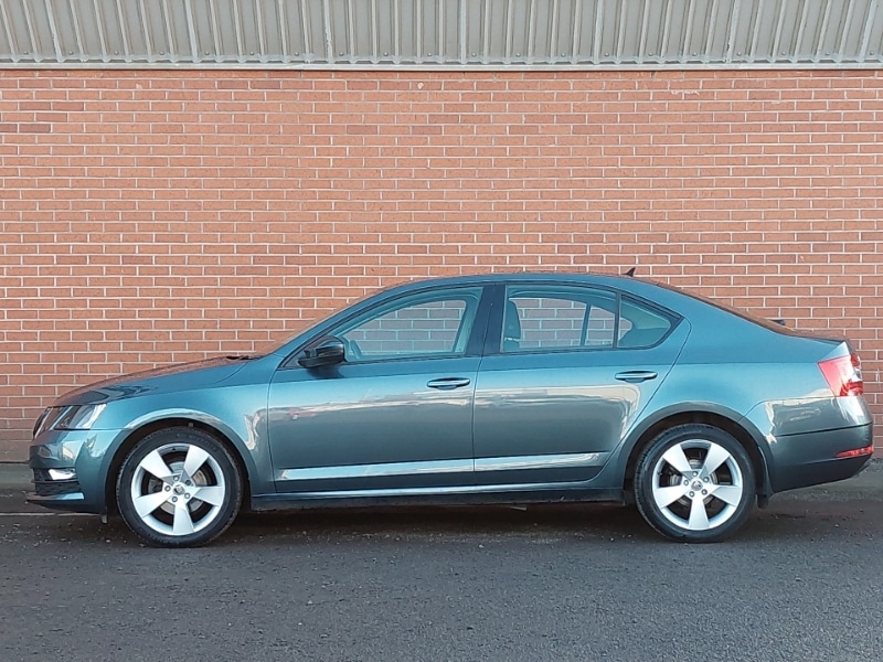 Used Skoda Octavia 2019 for sale - 76397547: Photo 4