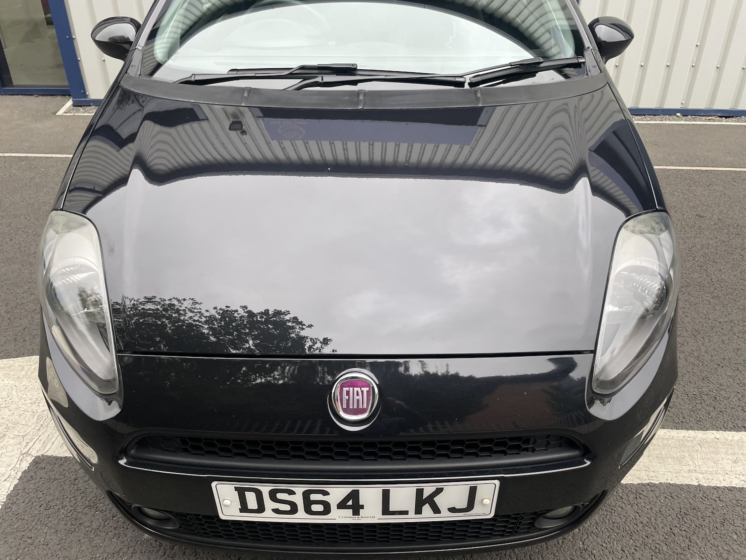 Used Fiat Punto 2014 for sale - 76559920: Photo 26