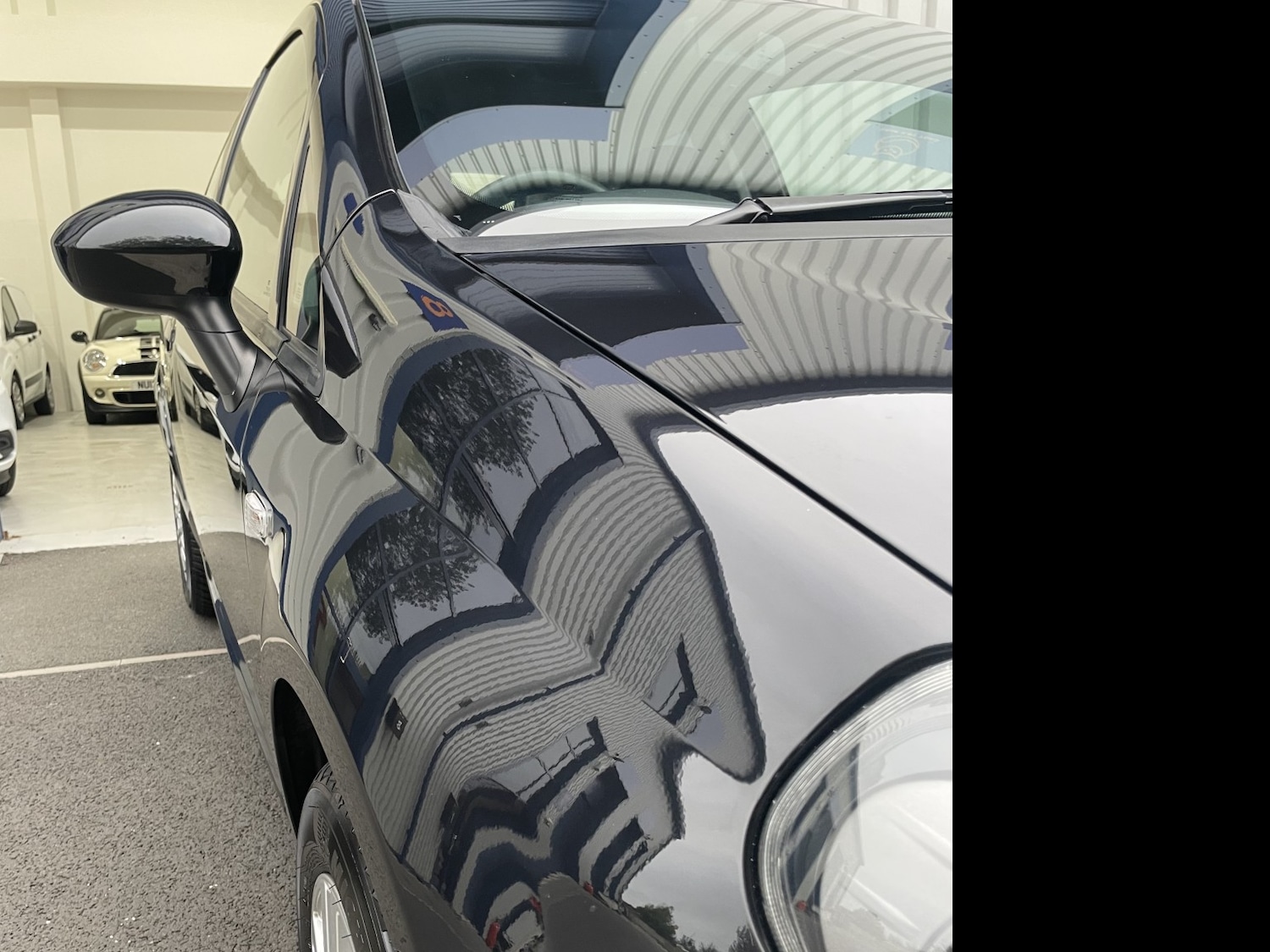 Used Fiat Punto 2014 for sale - 76559920: Photo 44