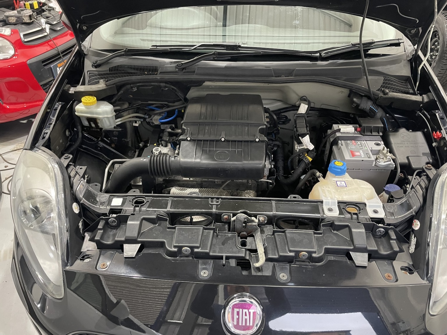 Used Fiat Punto 2014 for sale - 76559920: Photo 47