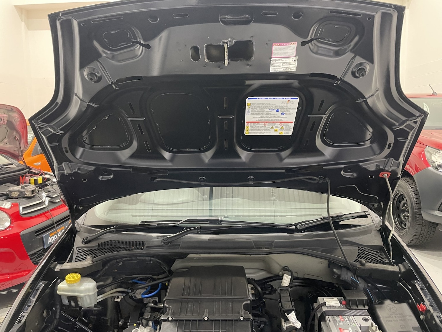 Used Fiat Punto 2014 for sale - 76559920: Photo 48