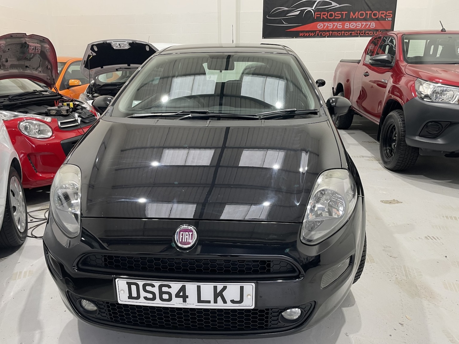 Used Fiat Punto 2014 for sale - 76559920: Photo 49