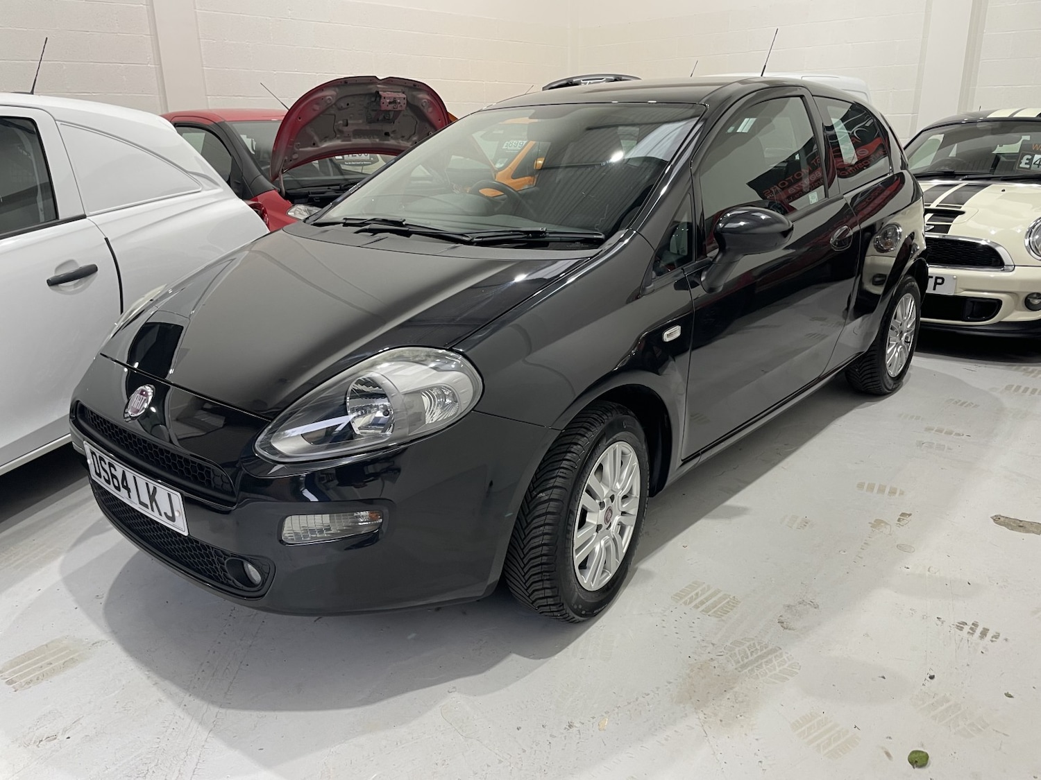 Used Fiat Punto 2014 for sale - 76559920: Photo 50