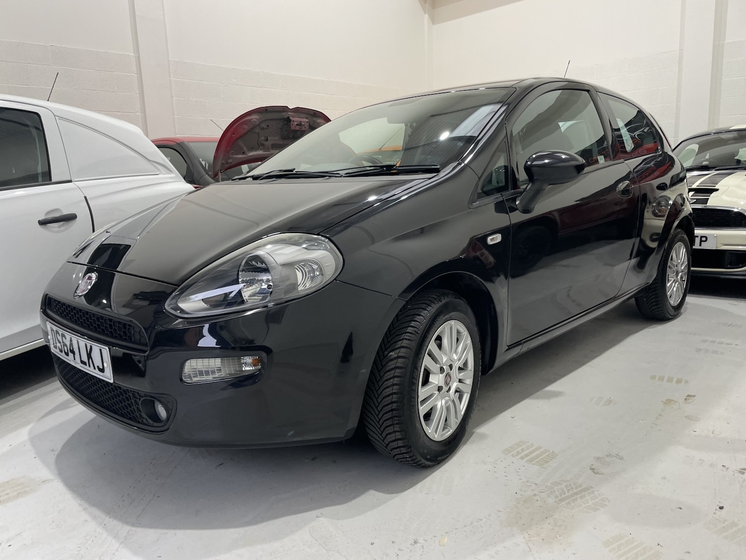 Used Fiat Punto 2014 for sale - 76559920: Photo 51