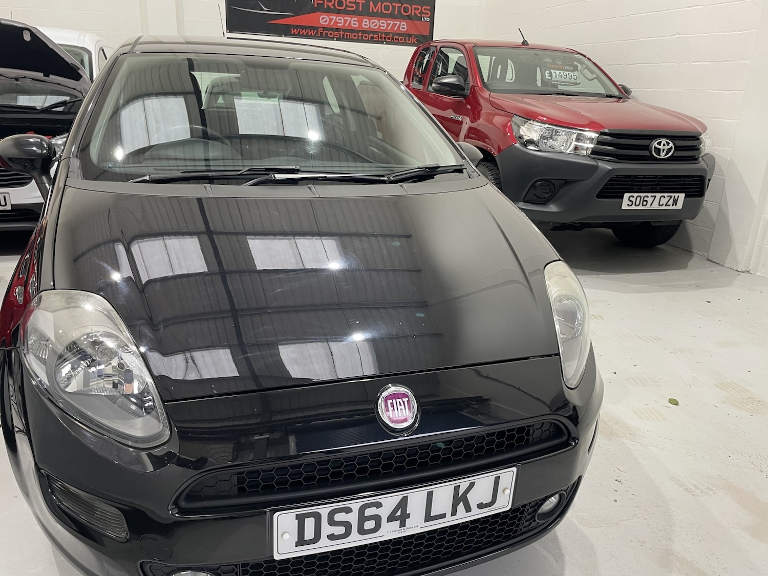 Used Fiat Punto 2014 for sale - 76559920: Photo 52