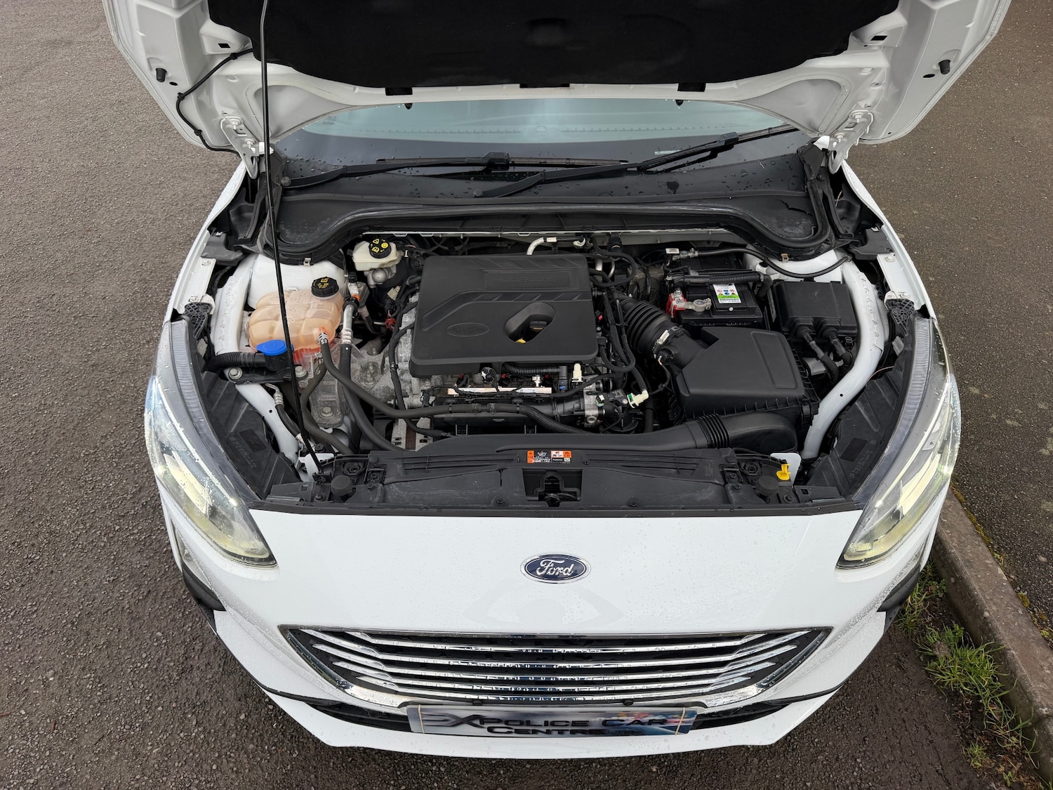 Used Ford Focus 2019 for sale - 77676443: Photo 13