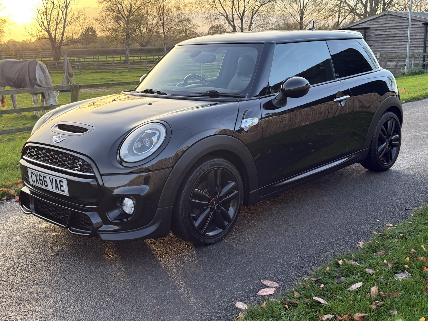 Used MINI Hatch 2016 for sale - 76547816: Photo 22