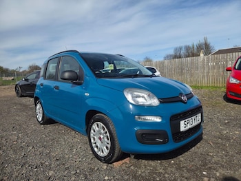 Used Fiat Panda 2013 for sale - 78156556: Photo