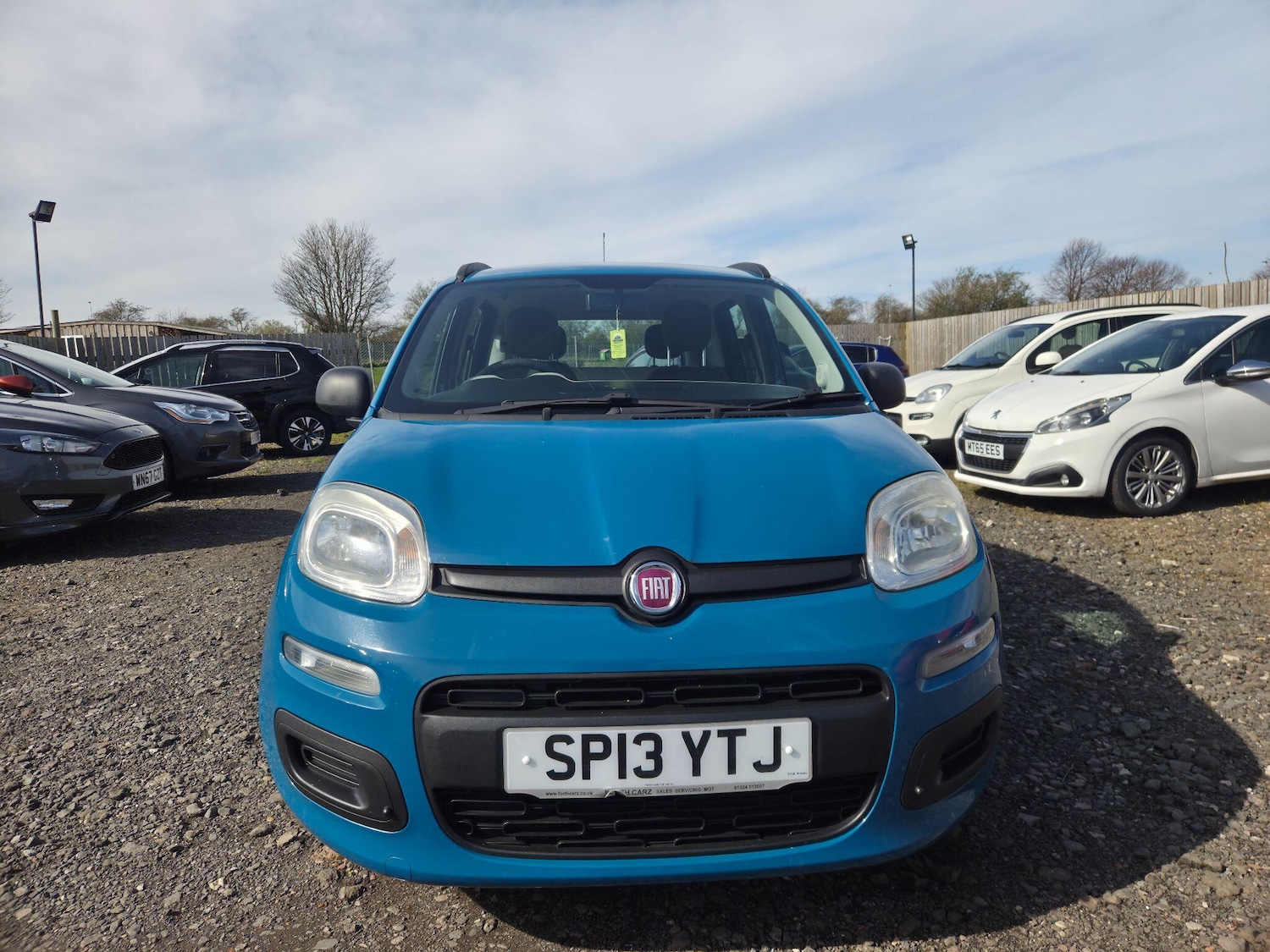 Used Fiat Panda for sale - 78156556: Photo 2