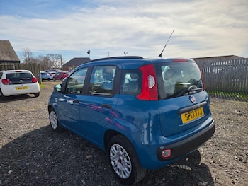 Used Fiat Panda 2013 for sale - 78156556: Photo