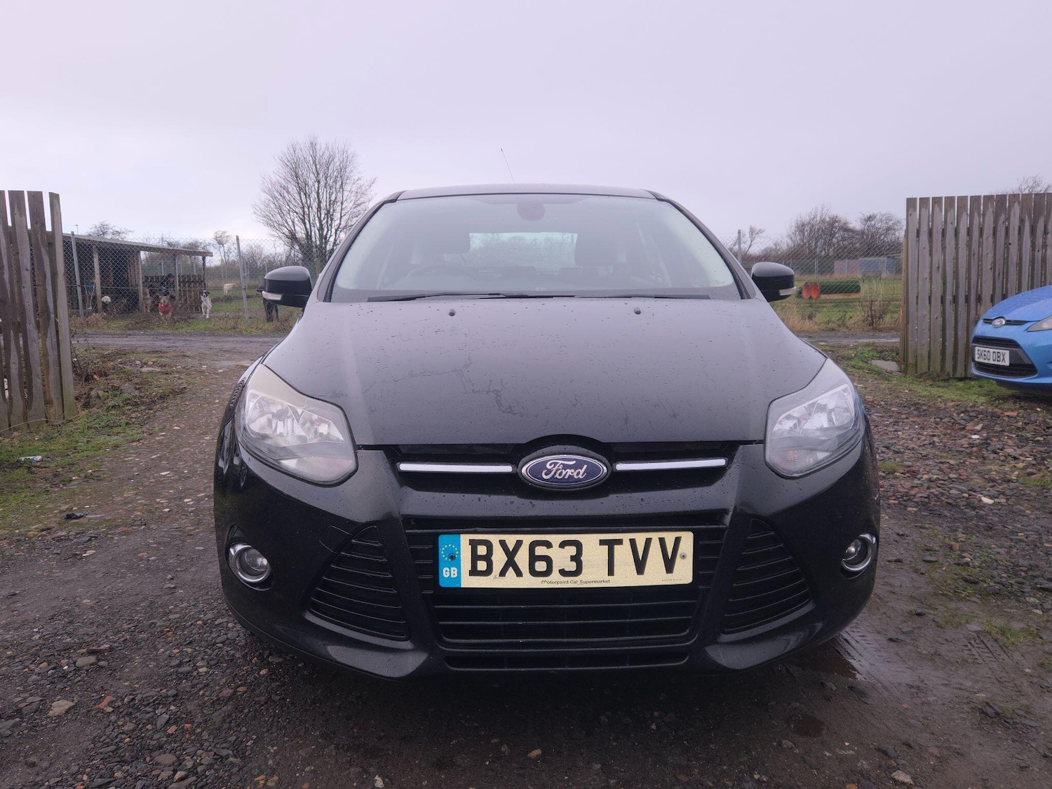 Used Ford Focus 2013 for sale - 77387403: Photo 2