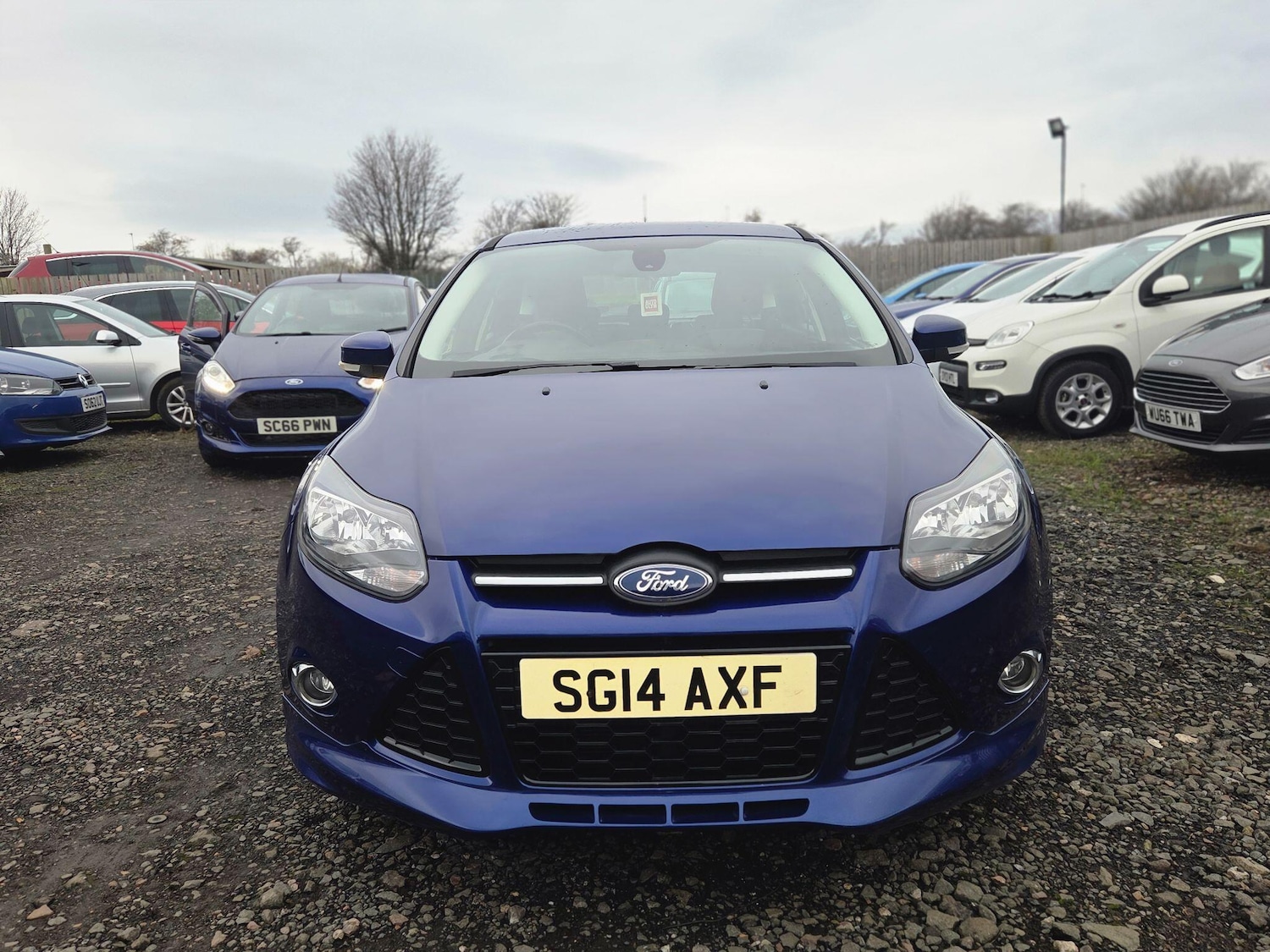 Used Ford Focus 2014 for sale - 77320528: Photo 2