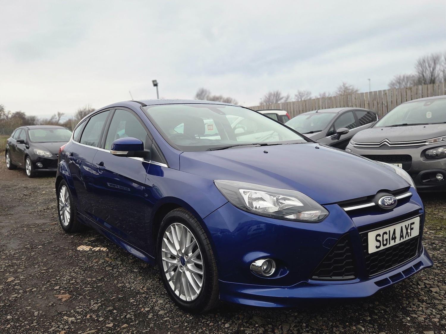 Used Ford Focus 2014 for sale - 77320528: Photo 5