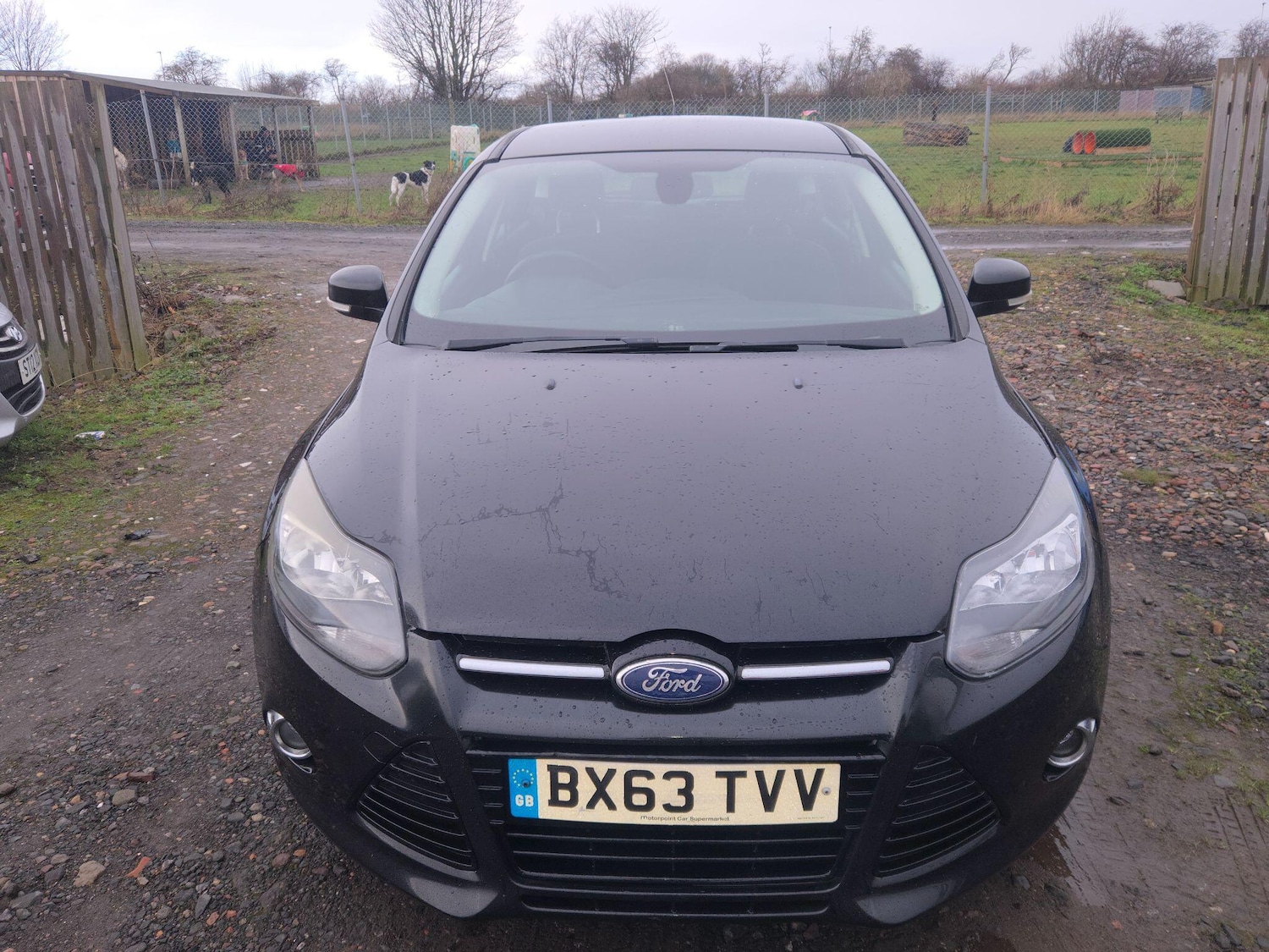 Used Ford Focus 2013 for sale - 77305193: Photo 6