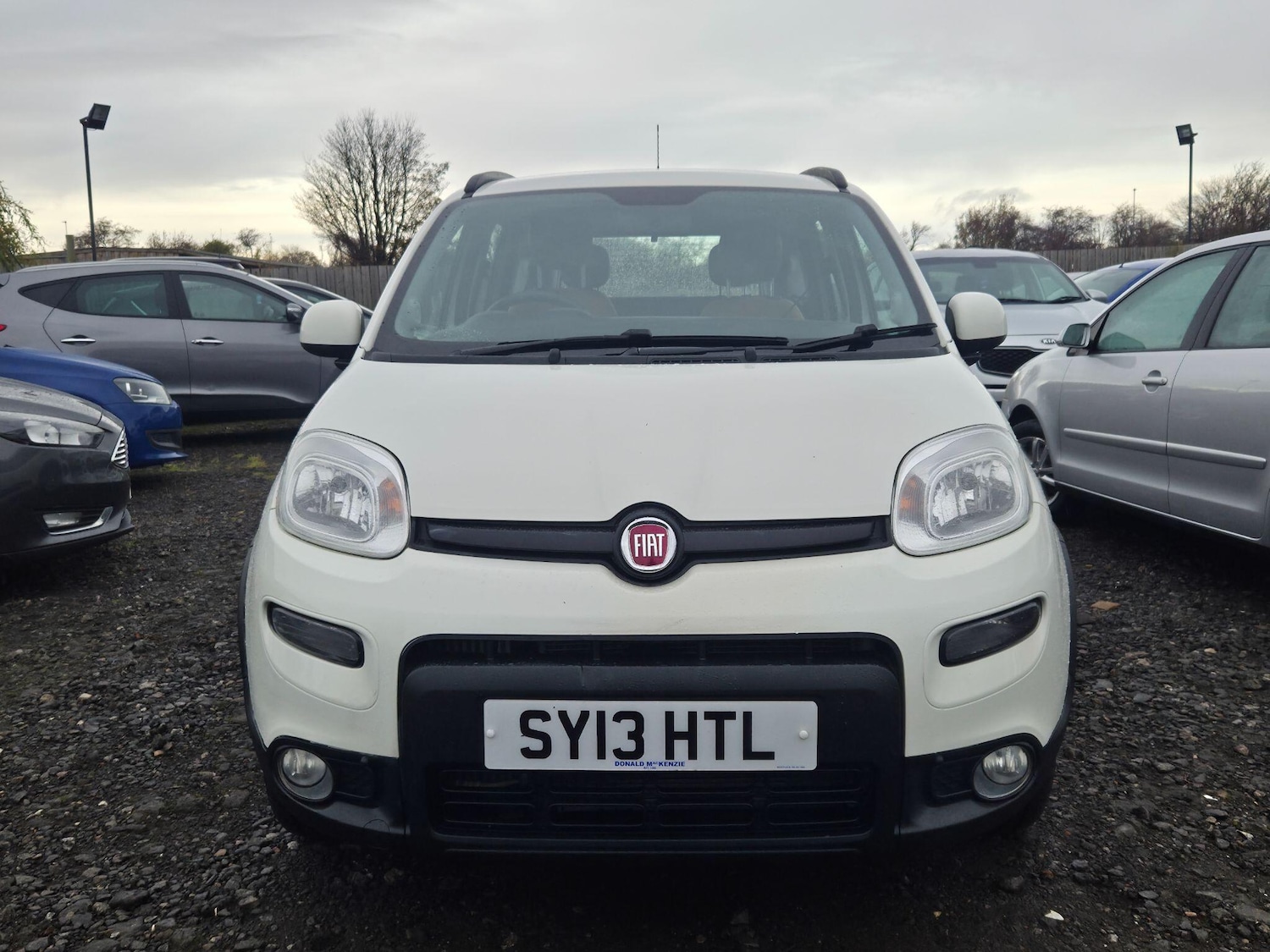 Used Fiat Panda for sale - 76572699: Photo 2