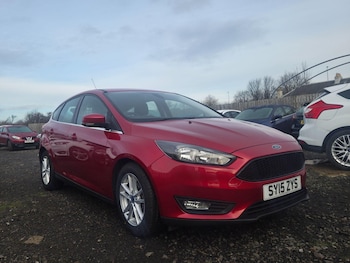 Used Ford Focus 2015 for sale - 77016477: Photo
