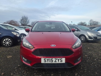 Used Ford Focus 2015 for sale - 77016477: Photo