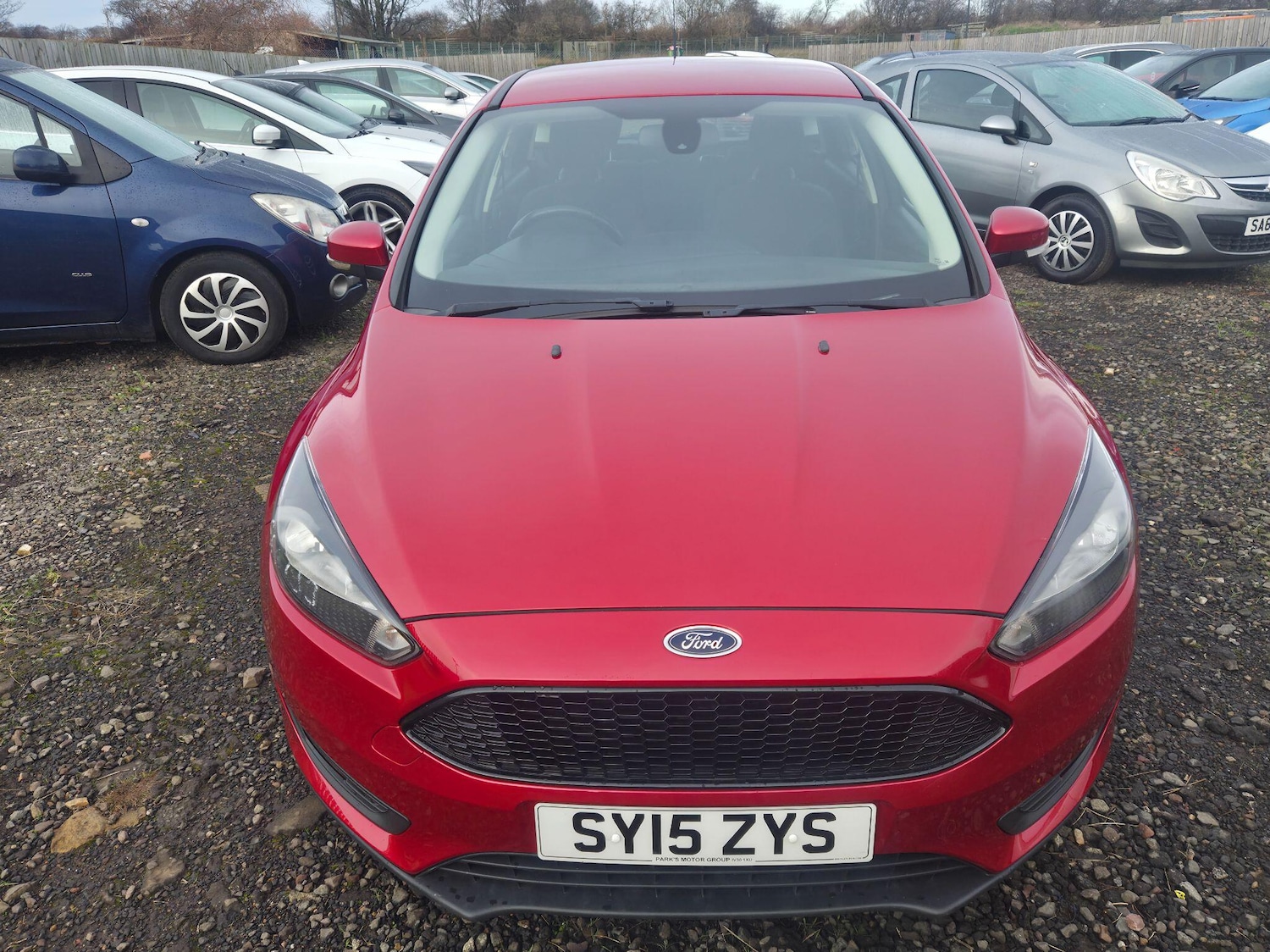 Used Ford Focus for sale - 77016477: Photo 6