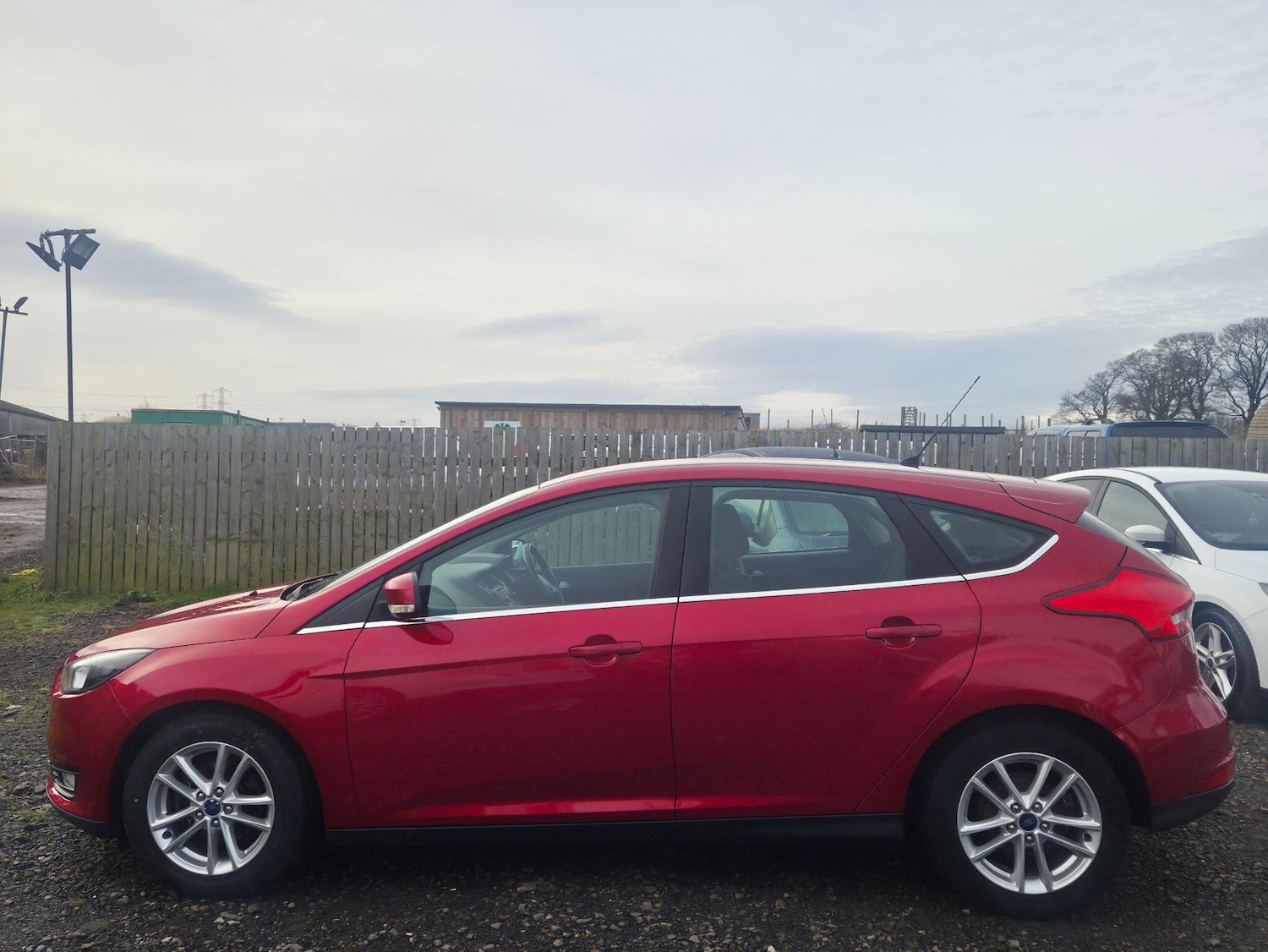 Used Ford Focus for sale - 77016477: Photo 7