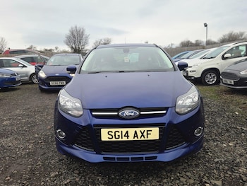 Used Ford Focus 2014 for sale - 77191006: Photo