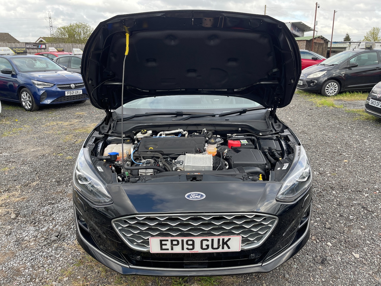 Used Ford Focus 2019 for sale - 78144148: Photo 61