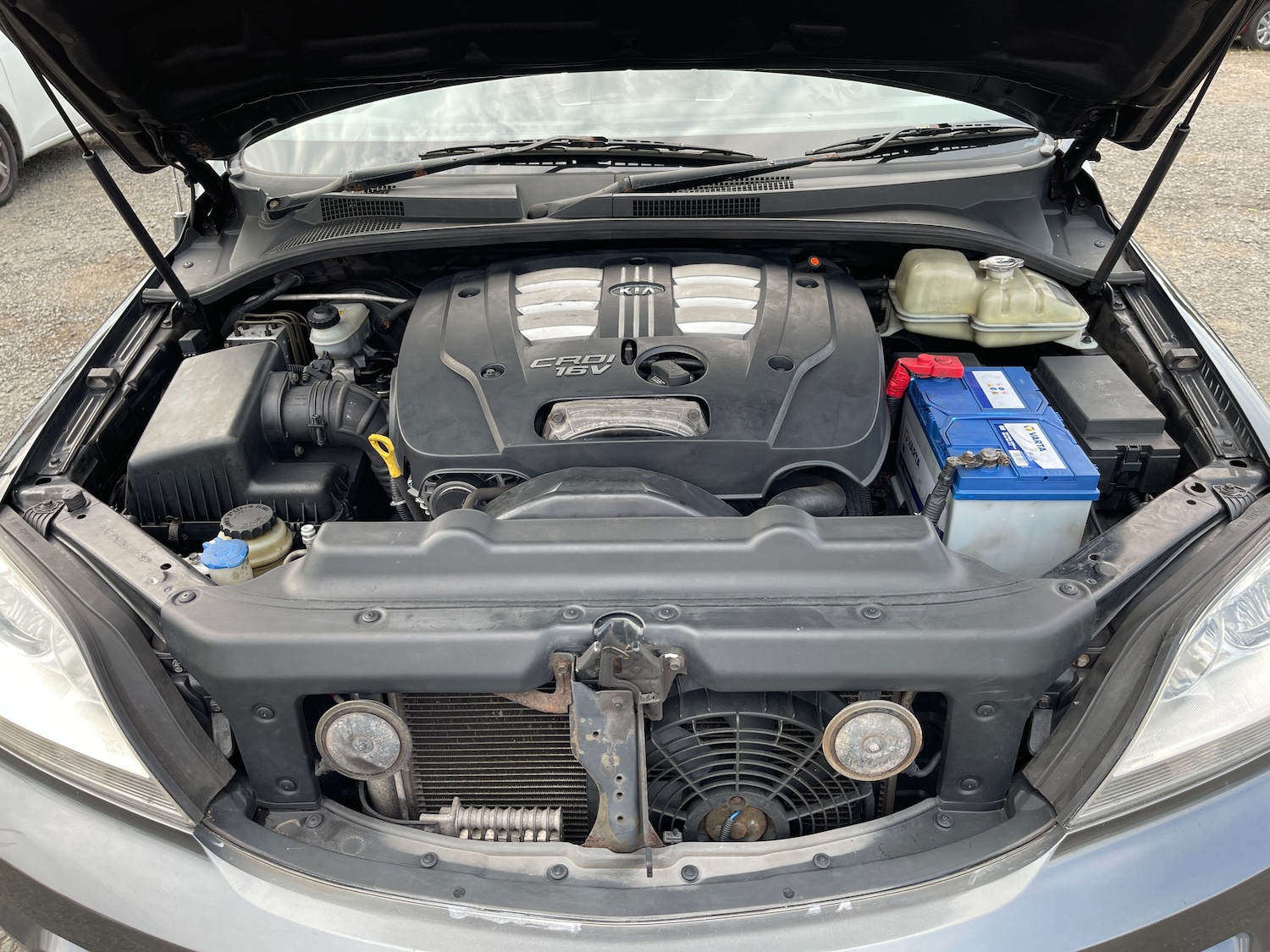 Used Kia Sorento for sale - 76157893: Photo 21