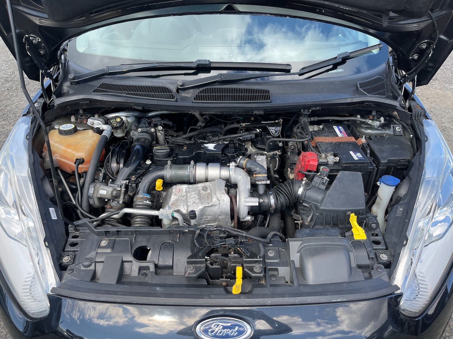 Vehicle 31