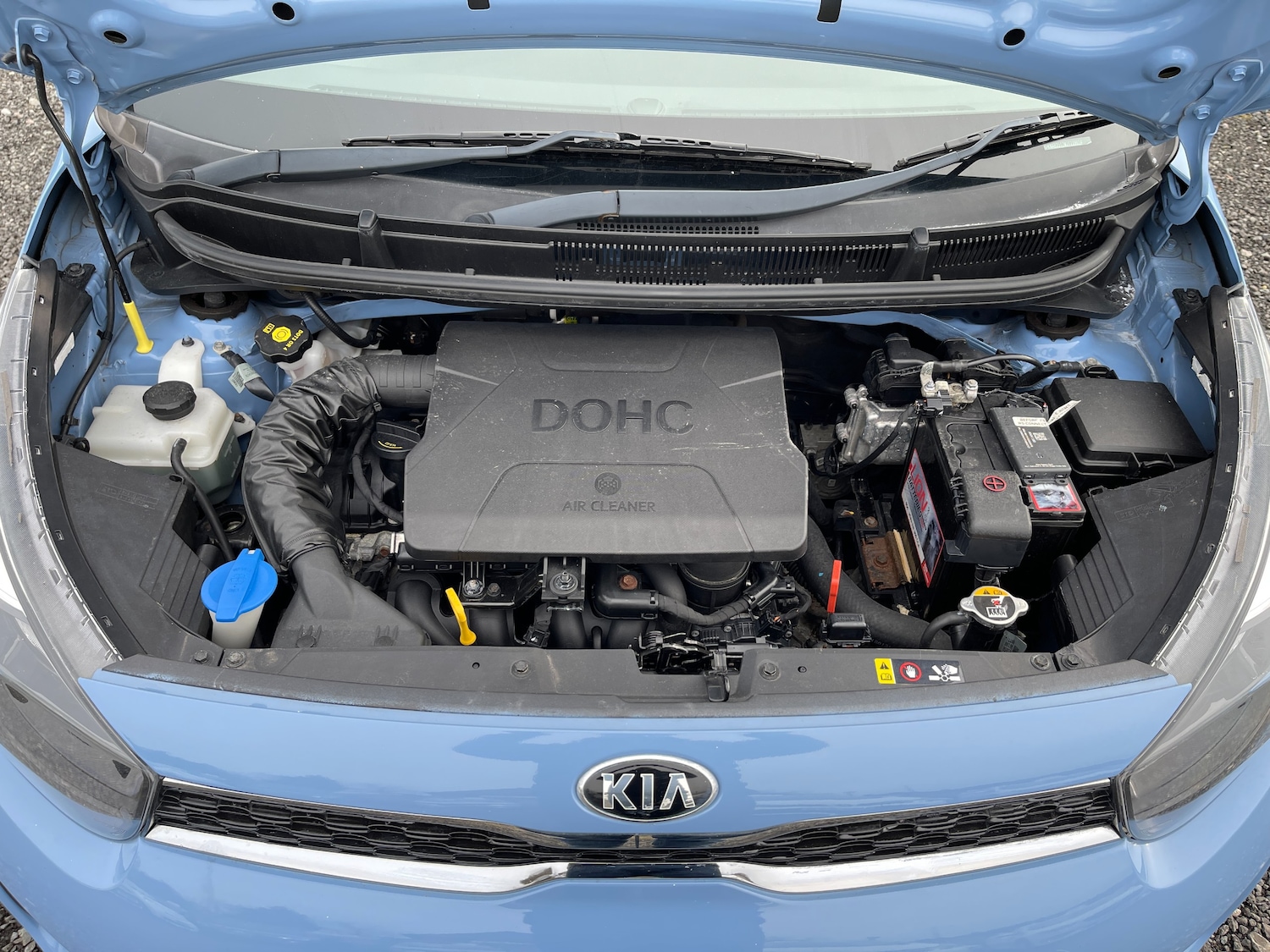 Used Kia Picanto 2018 for sale - 77582462: Photo 40