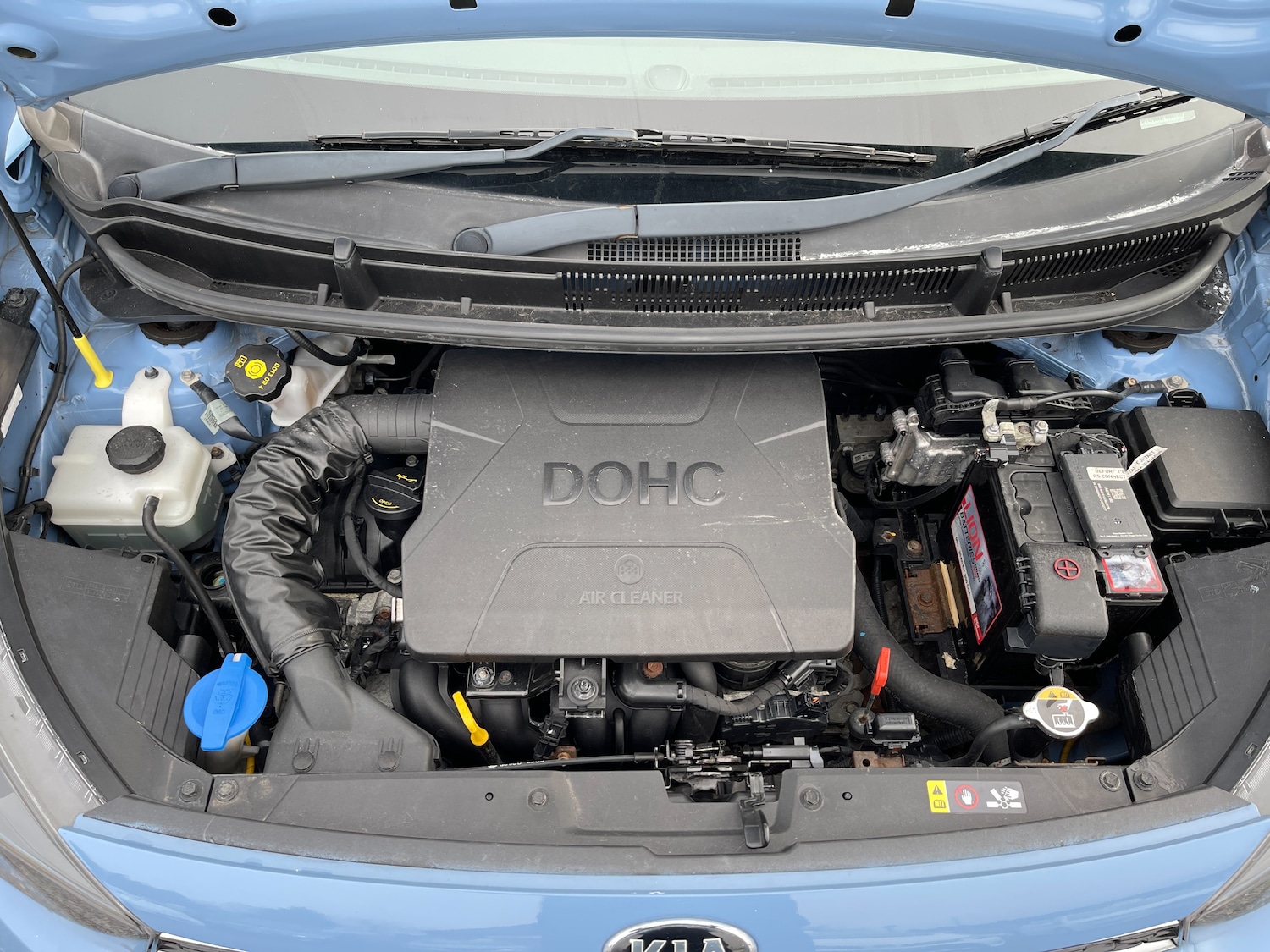 Used Kia Picanto 2018 for sale - 77582462: Photo 41