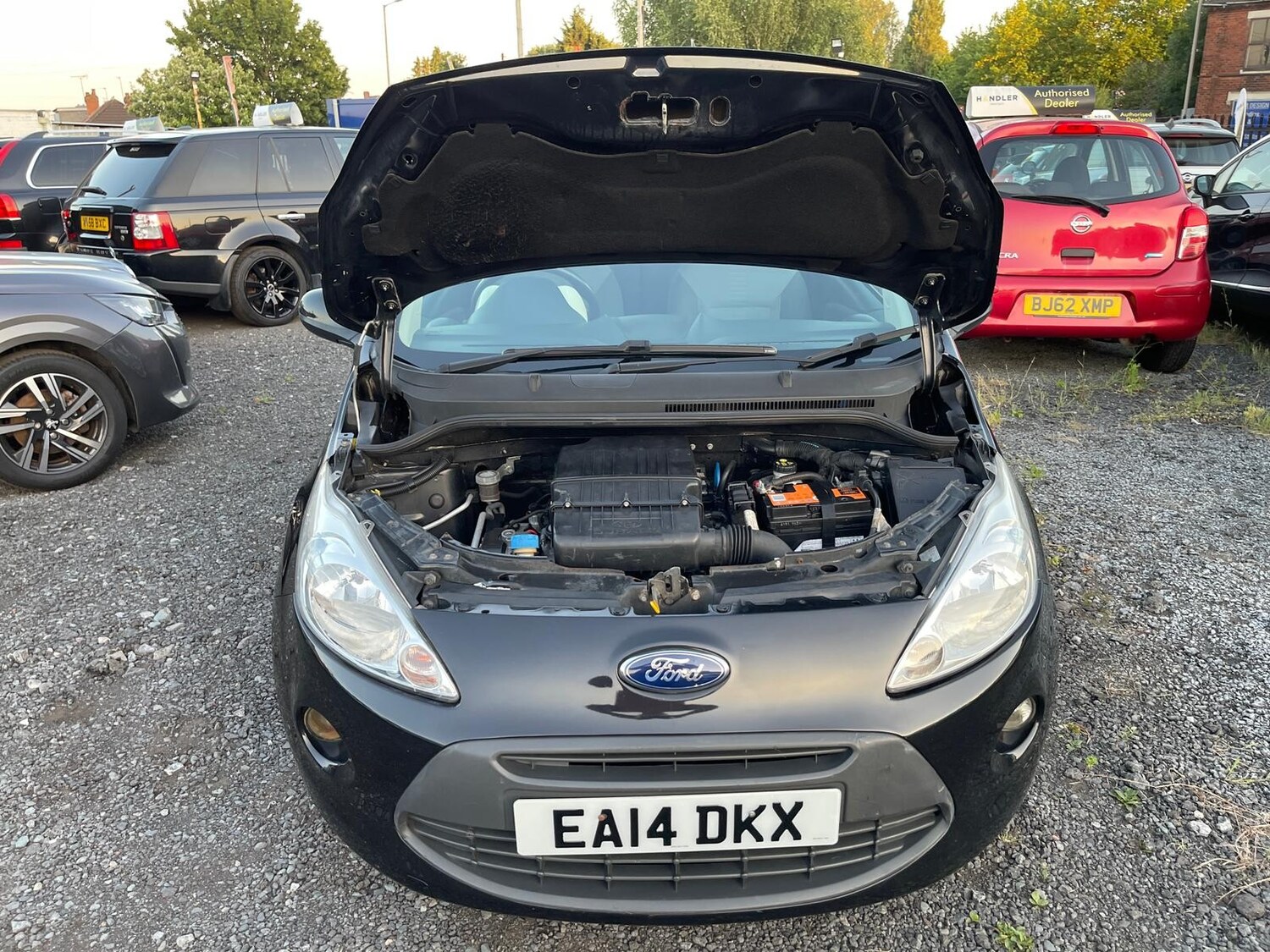 Vehicle 29