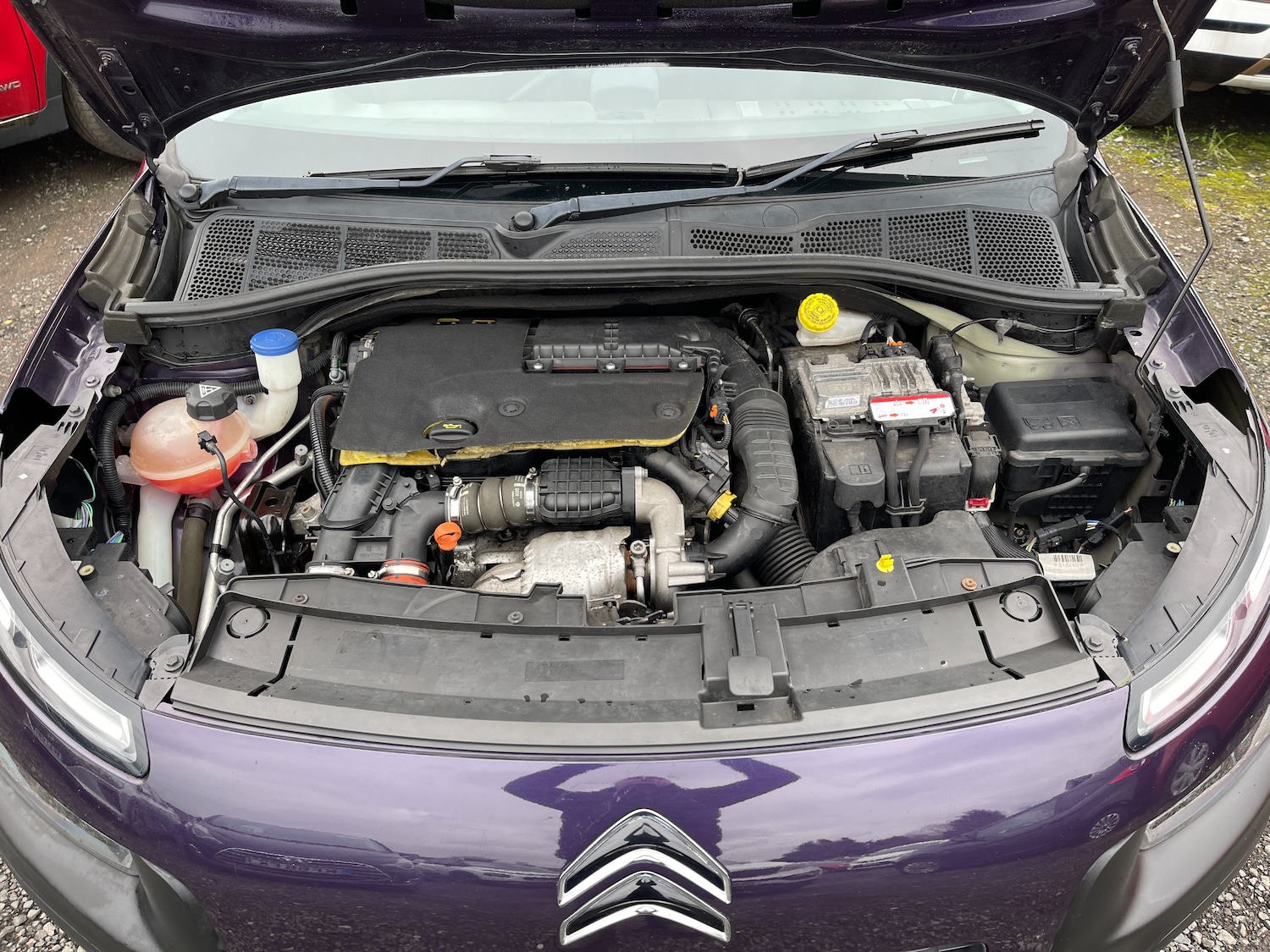 Used Citroen C4 Cactus 2015 for sale - 77408852: Photo 41