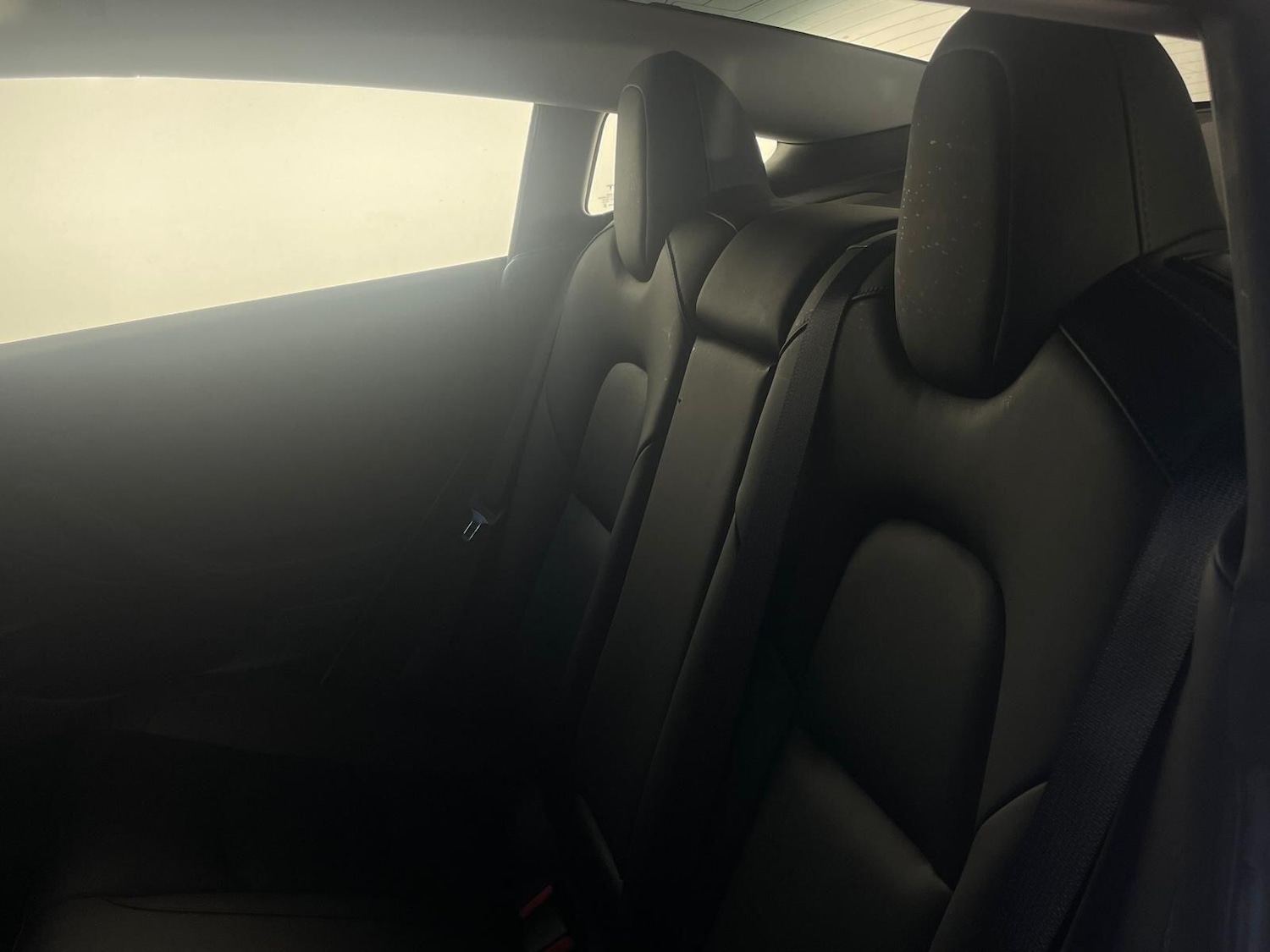 Used Tesla Model 3 2021 for sale - 76072690: Photo 15