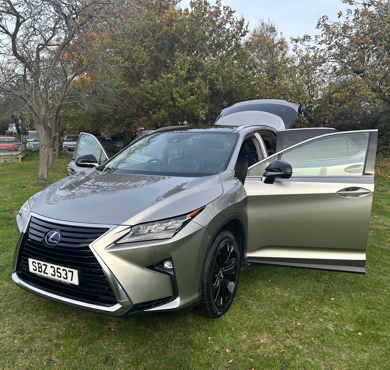 Used Lexus RX 2018 for sale - 76658155: Photo 7