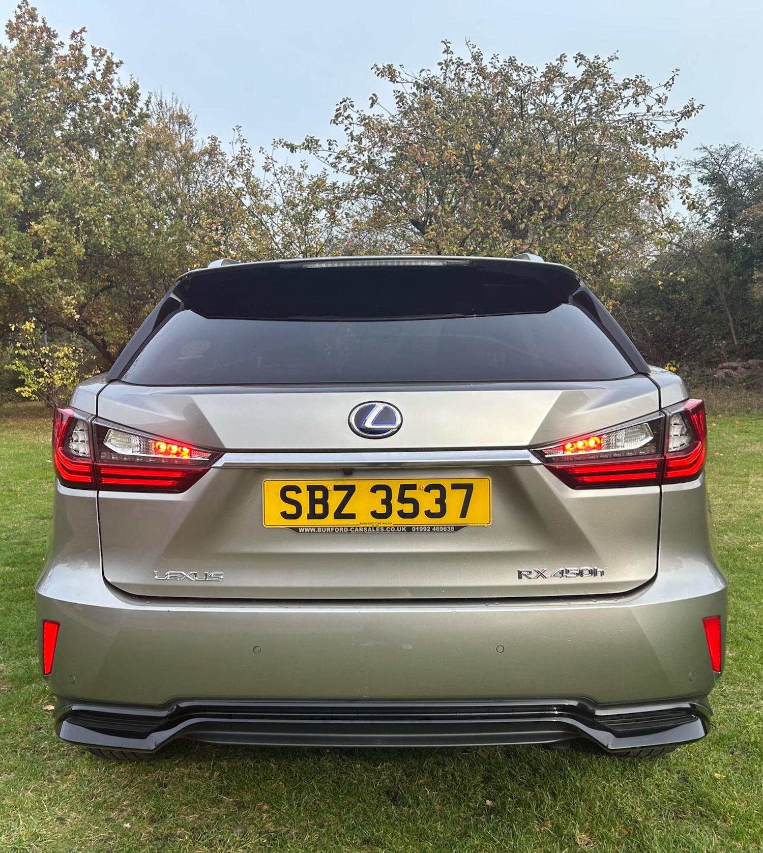 Used Lexus RX 2018 for sale - 76499172: Photo 10