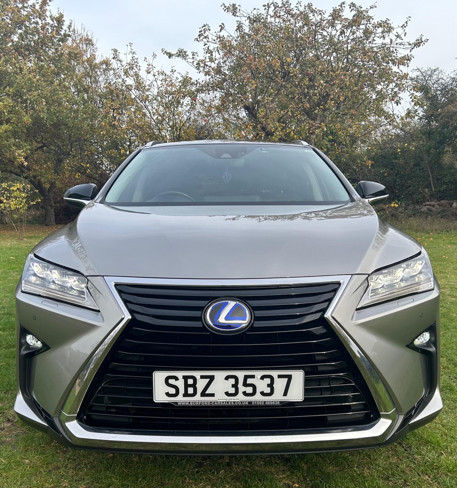 Used Lexus RX 2018 for sale - 76499172: Photo 2