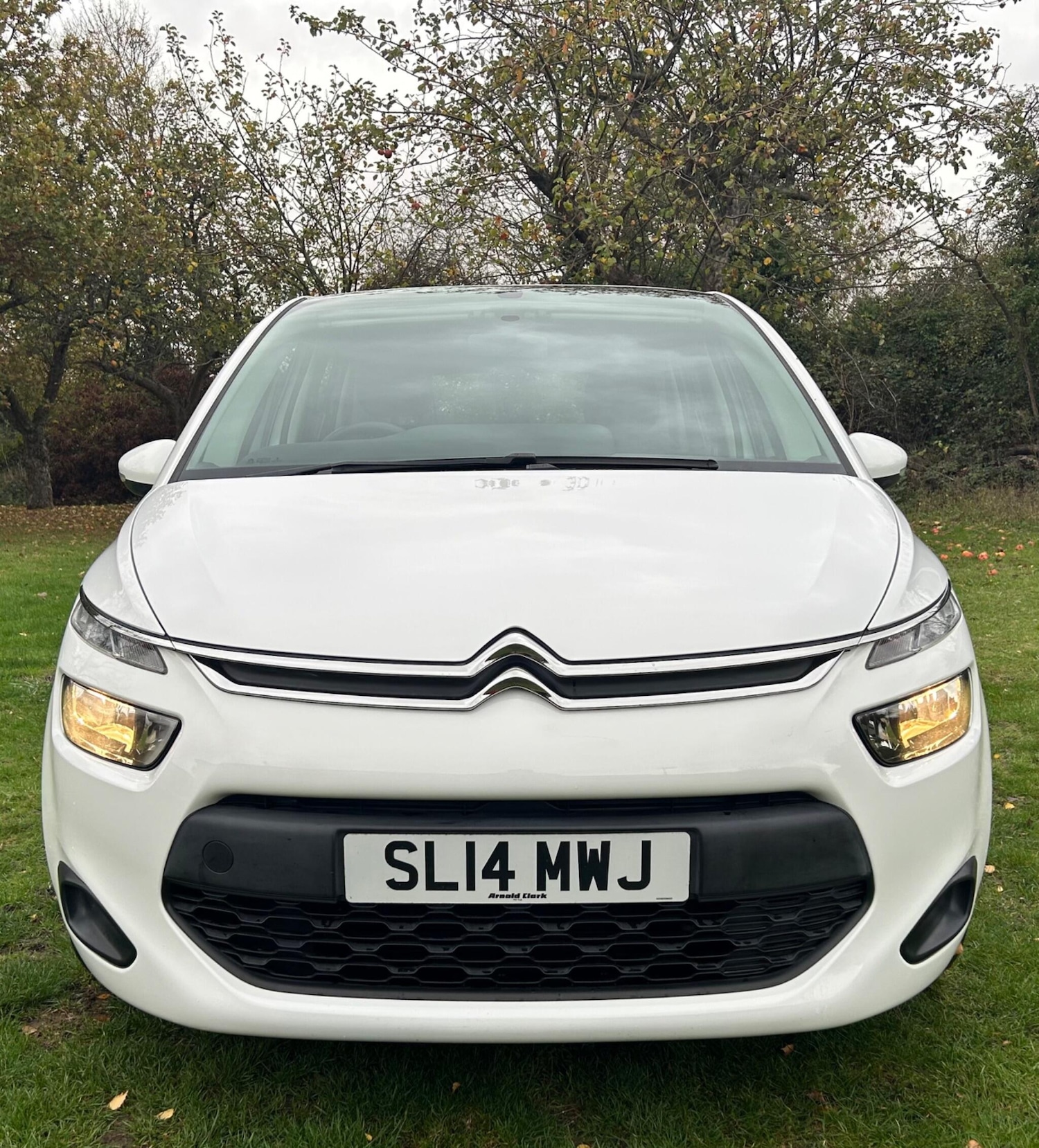 Used Citroen C4 Picasso 2014 for sale - 76991941: Photo 2