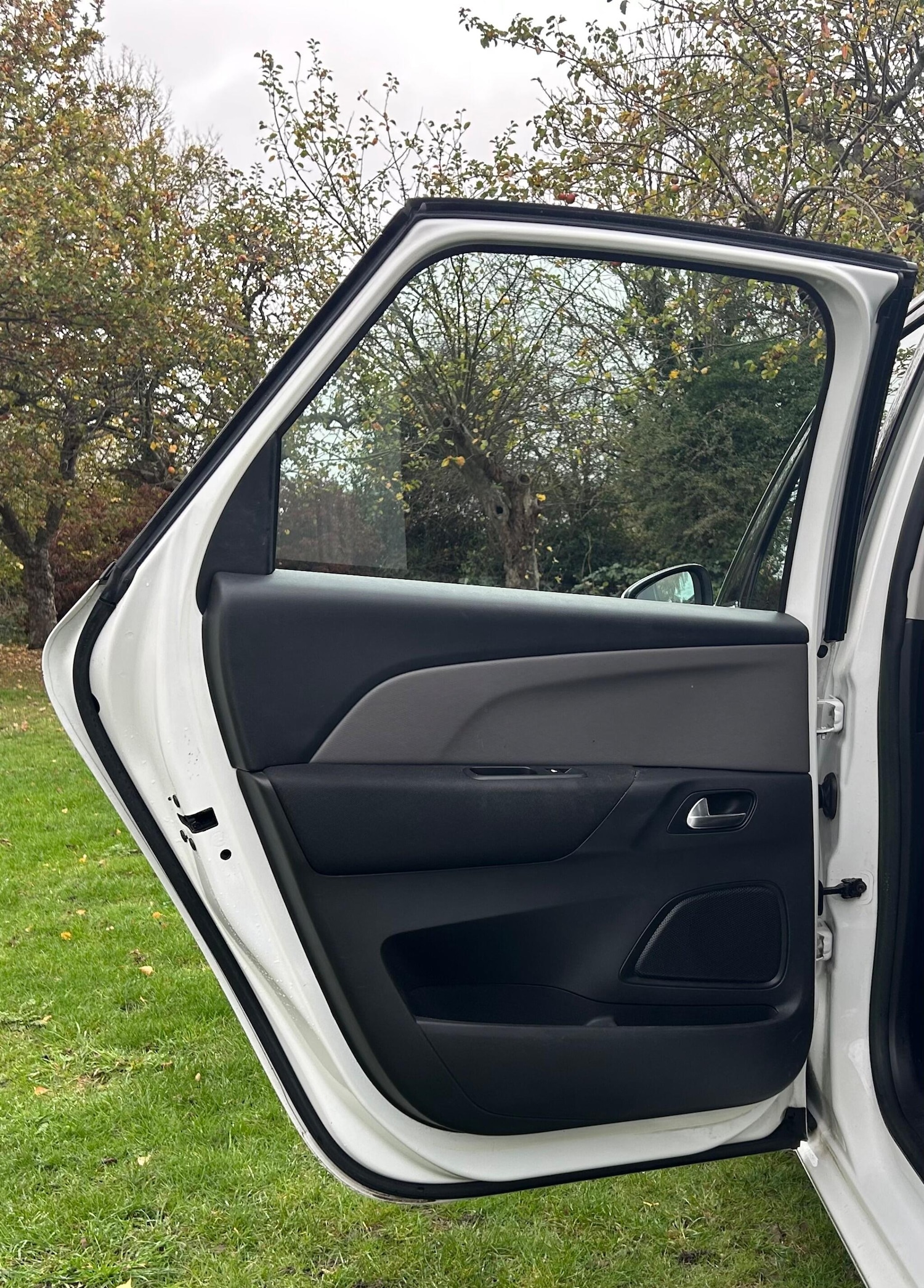 Used Citroen C4 Picasso 2014 for sale - 76991941: Photo 24