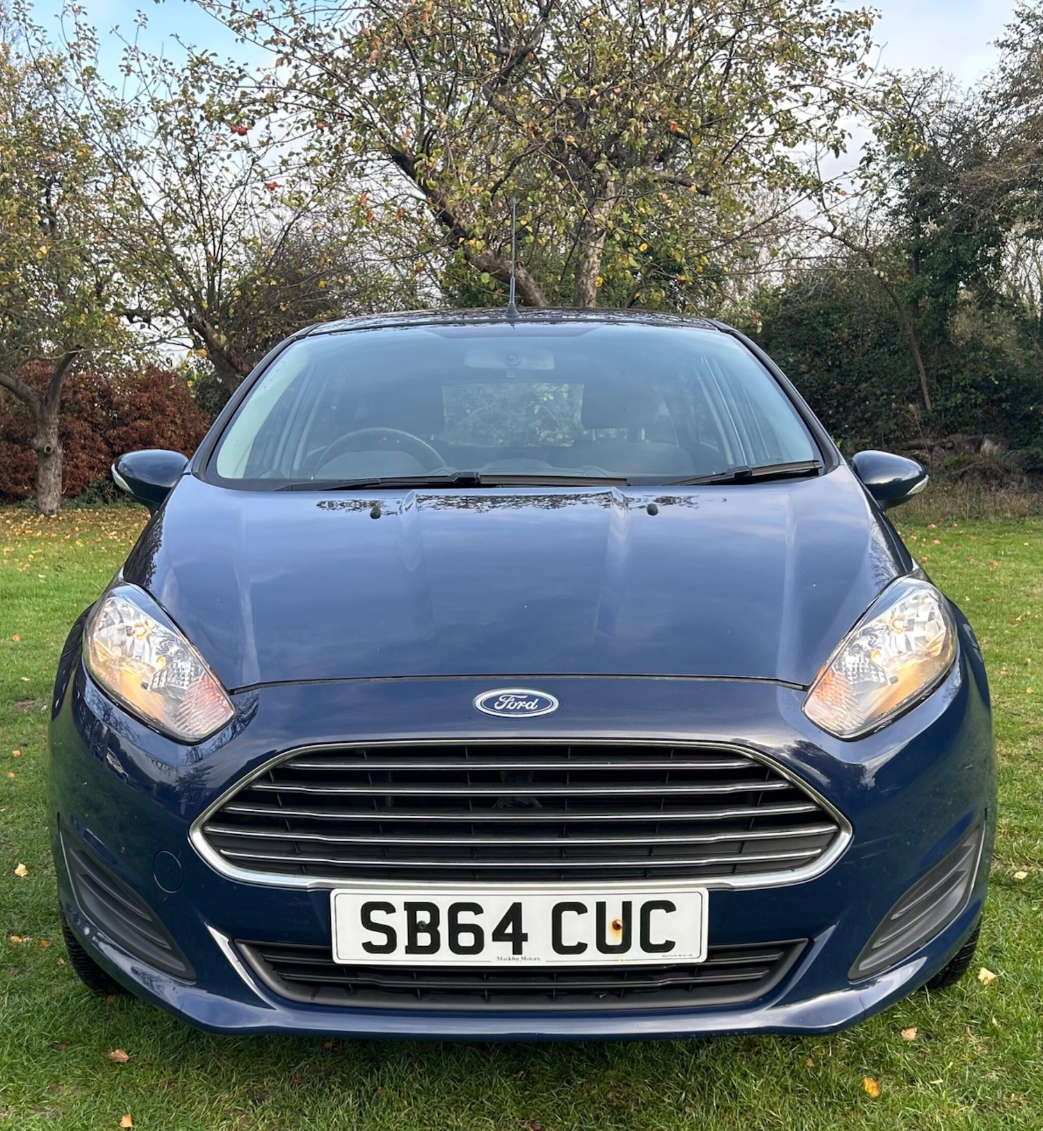 Used Ford Fiesta 2015 for sale - 76549616: Photo 3