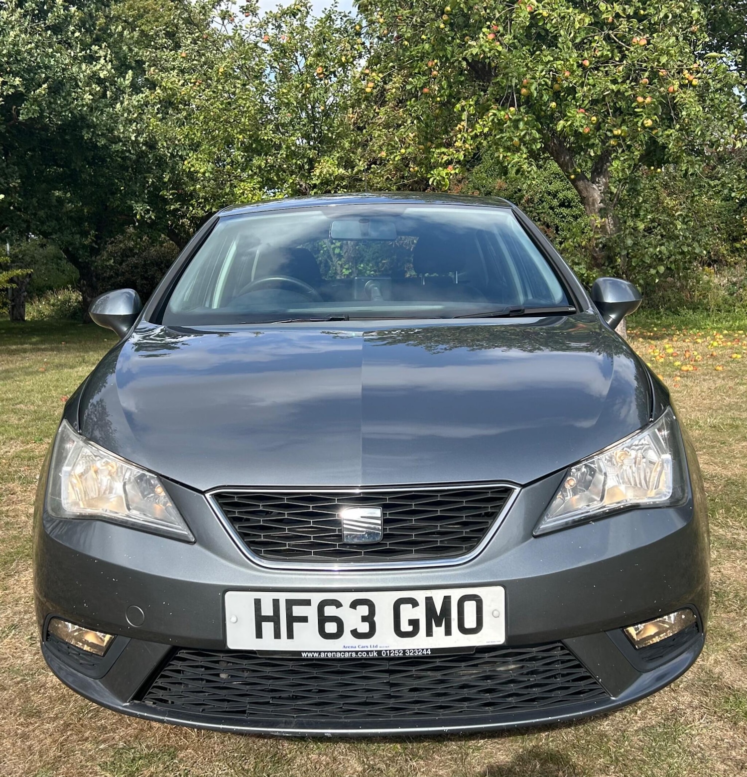 Used SEAT Ibiza 2013 for sale - 76456796: Photo 2