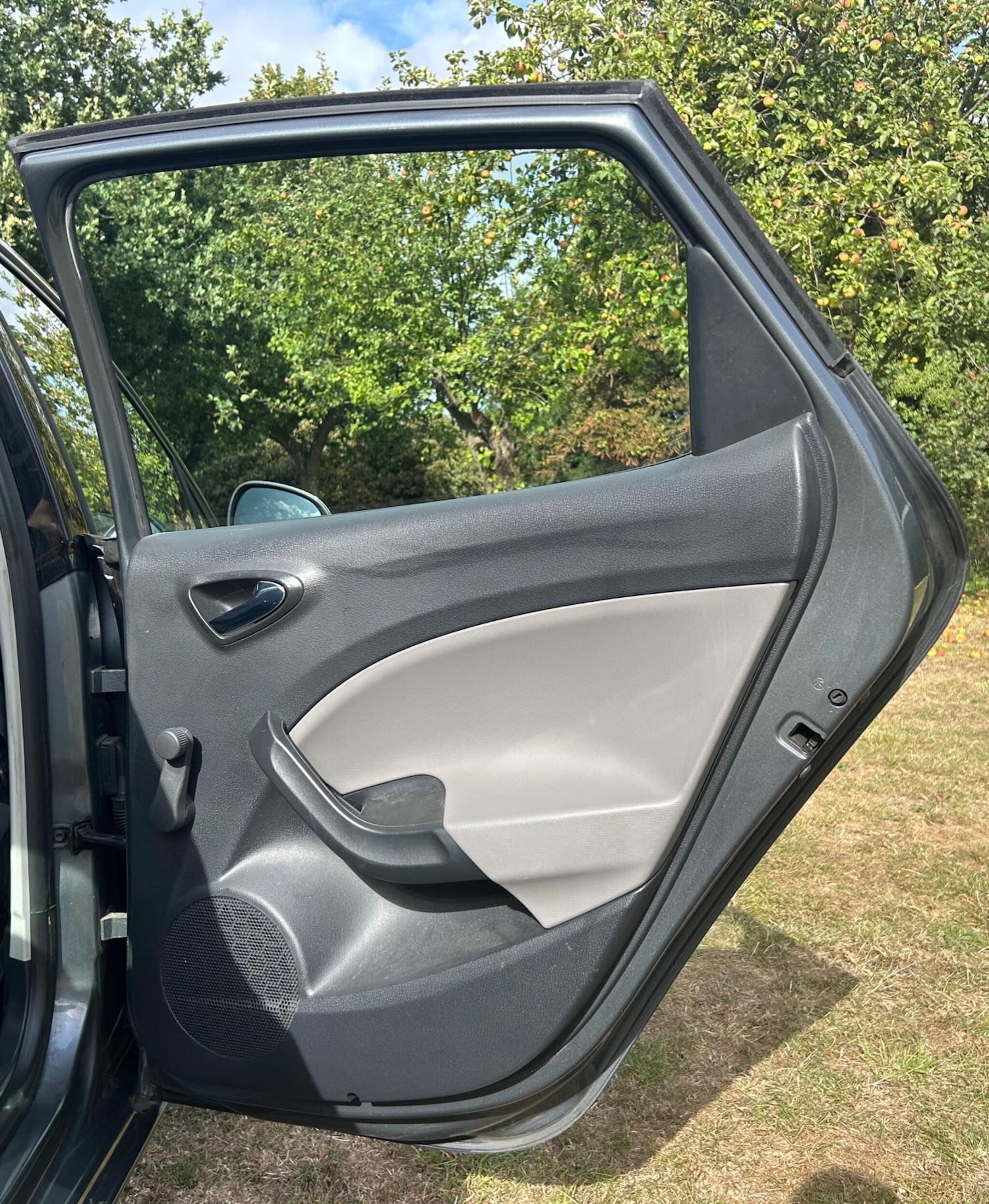 Used SEAT Ibiza 2013 for sale - 76456796: Photo 22