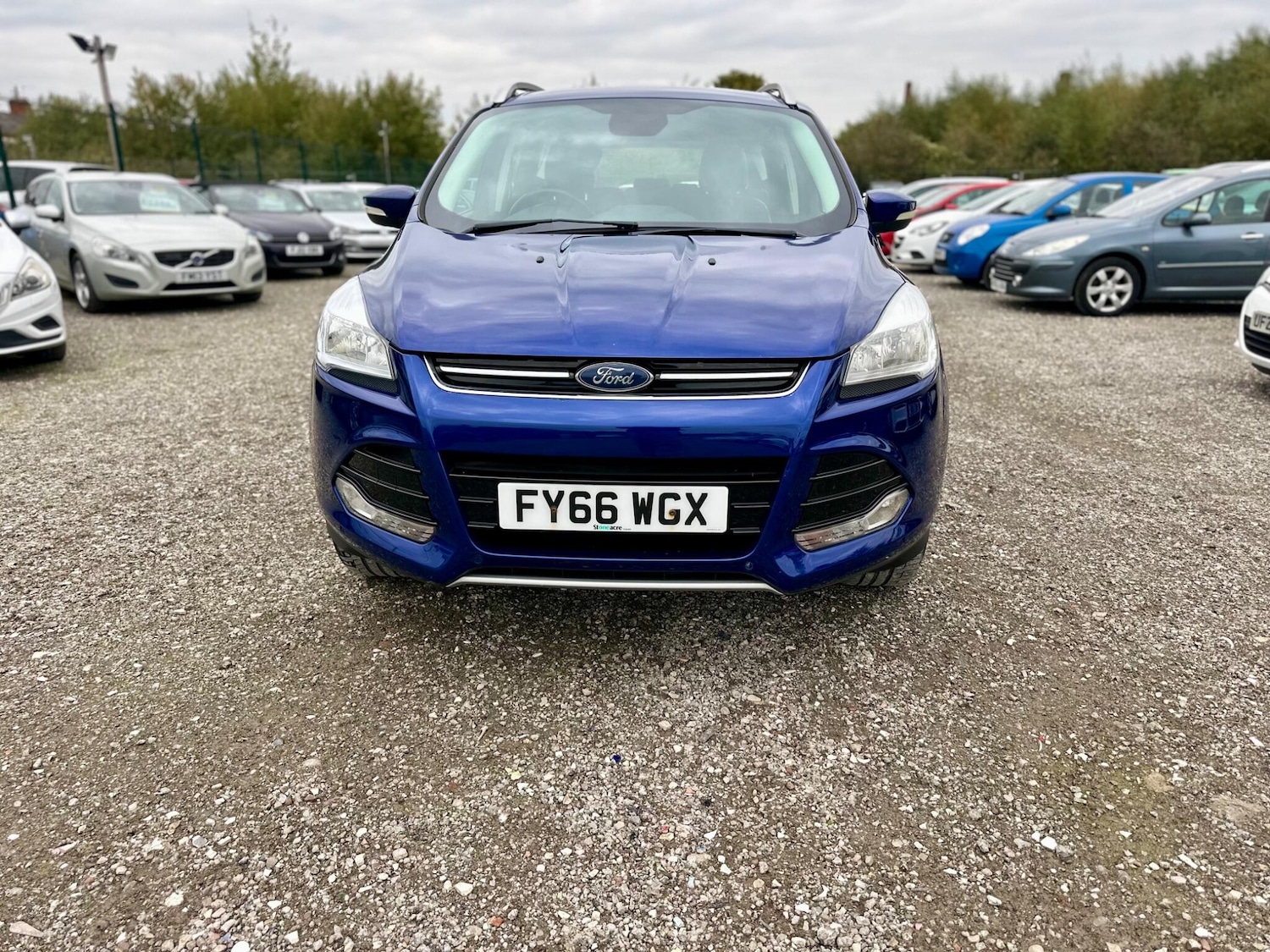 Used Ford Kuga for sale - 77683705: Photo 8