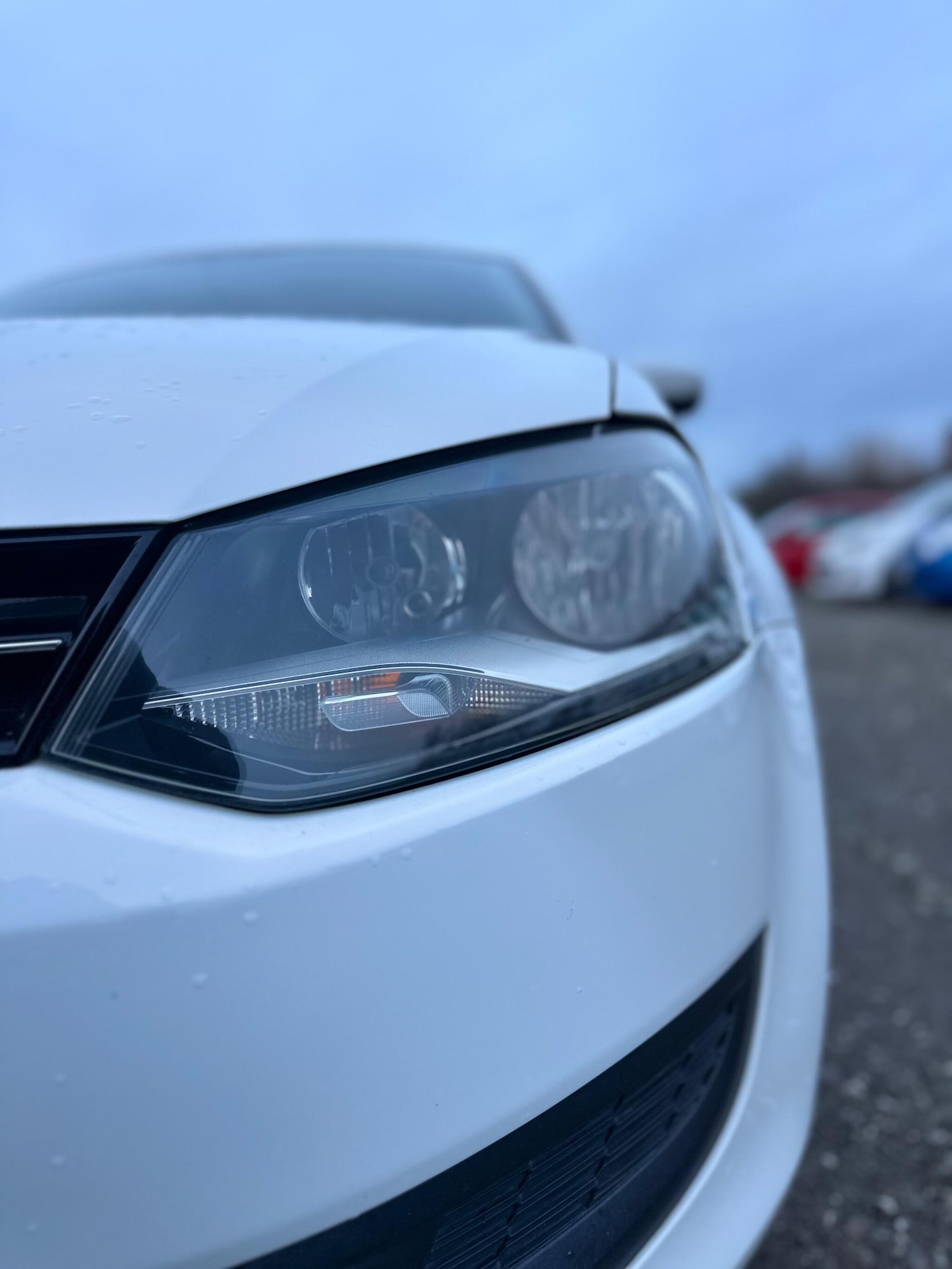 Used Volkswagen Polo for sale - 77229510: Photo 42