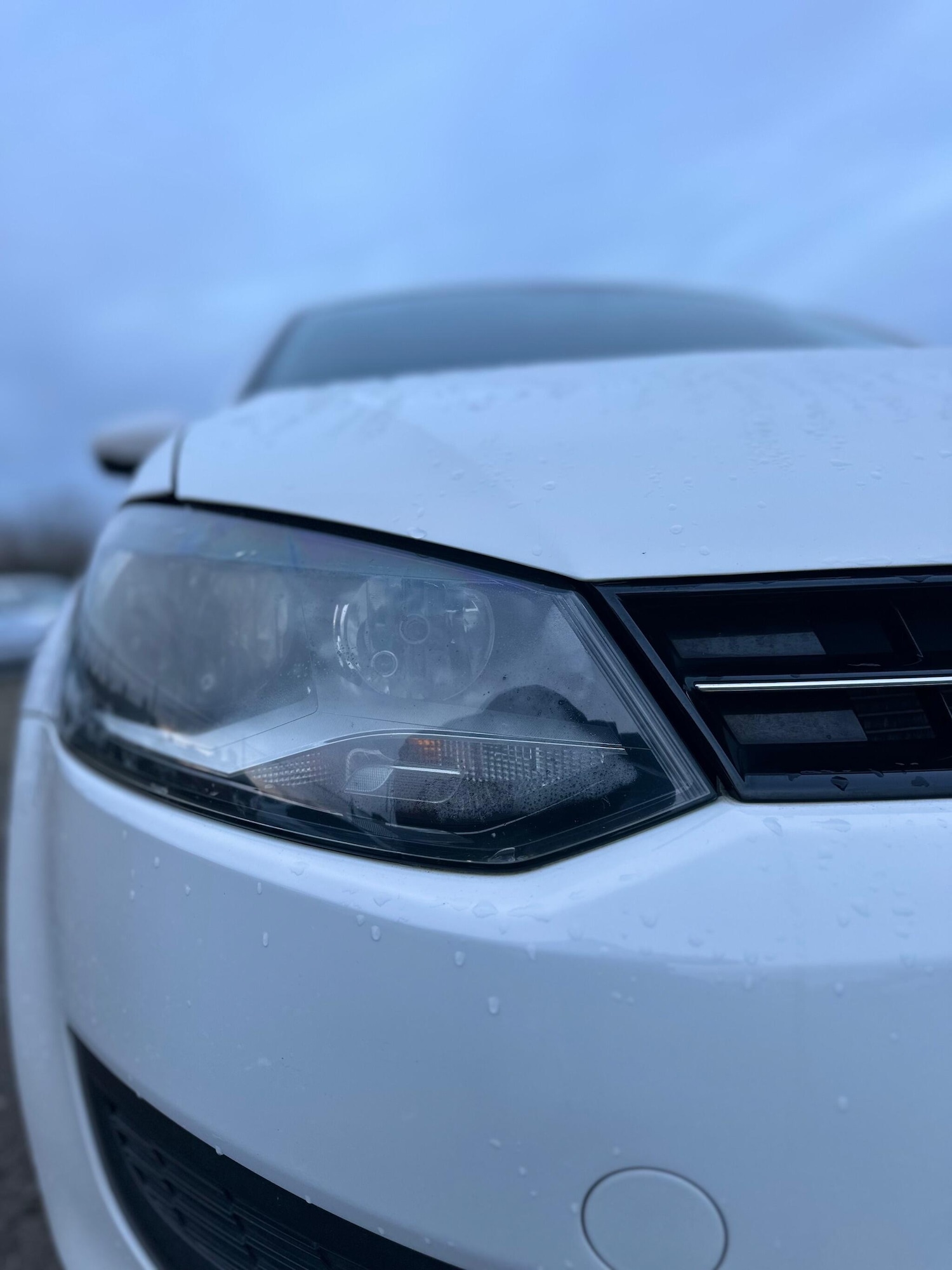 Used Volkswagen Polo for sale - 77229510: Photo 43