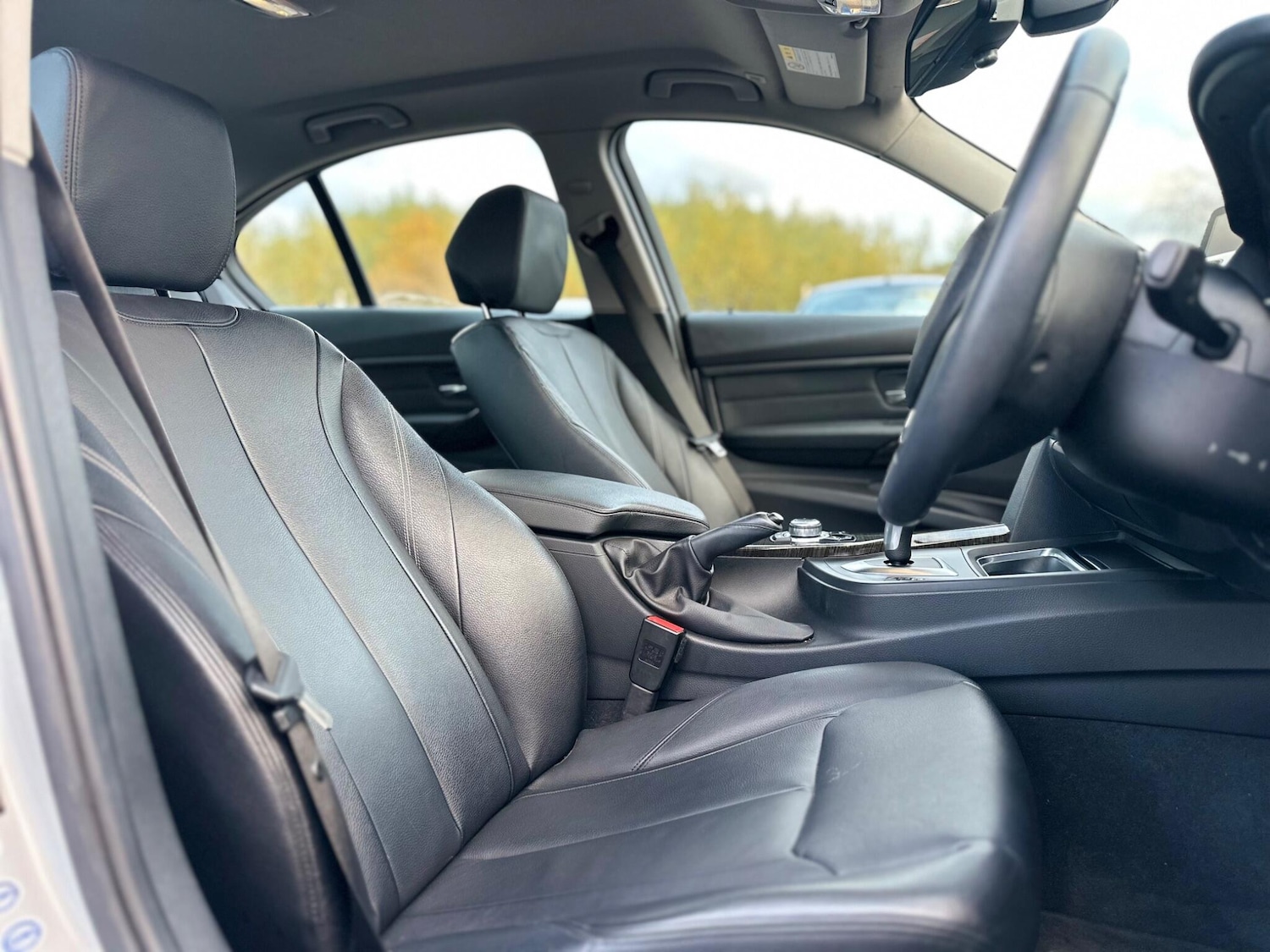 Used BMW 3 Series for sale - 76996273: Photo 15