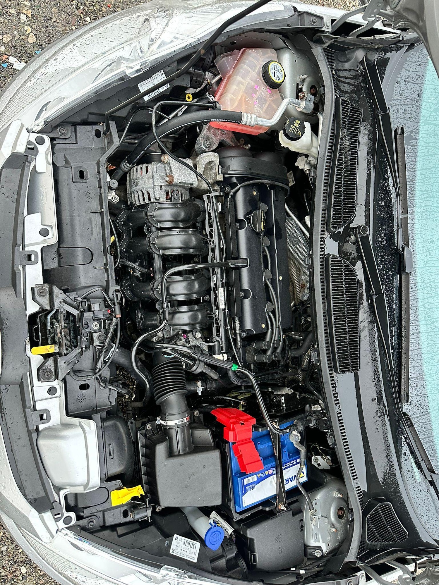Vehicle 19