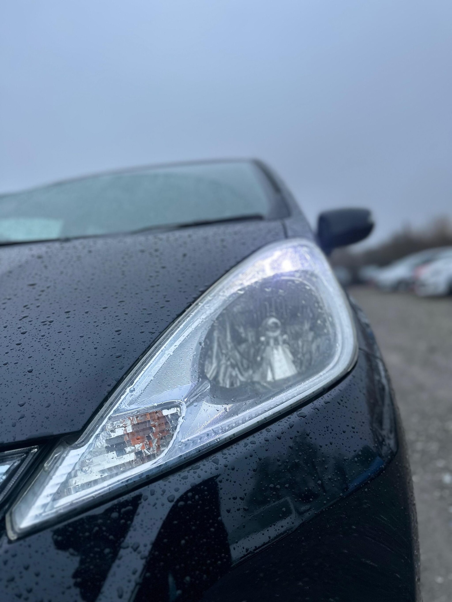 Used Honda Fit for sale - 77267358: Photo 42